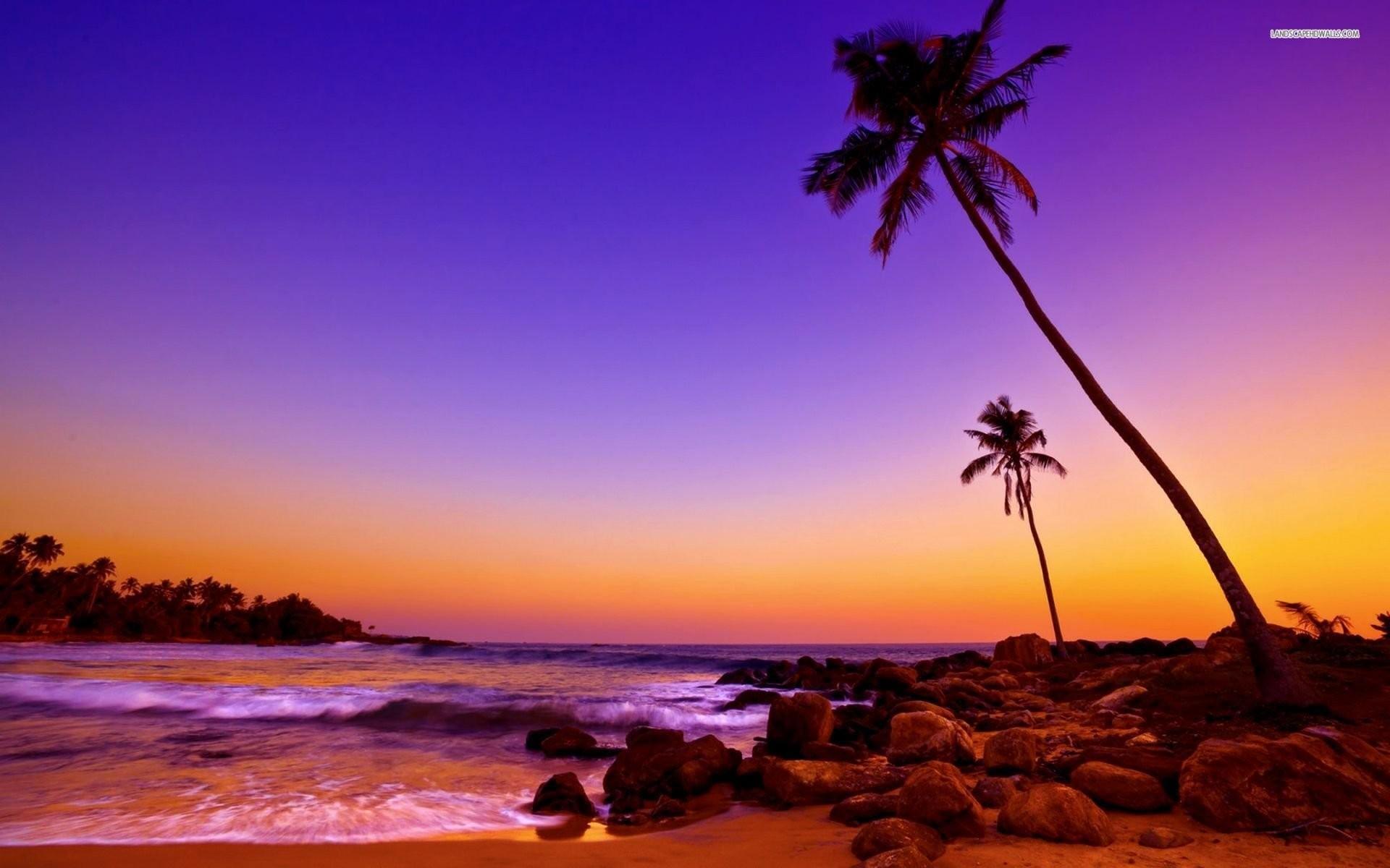 Purple Tropical Sunset Beach Wallpapers - Top Free Purple Tropical ...