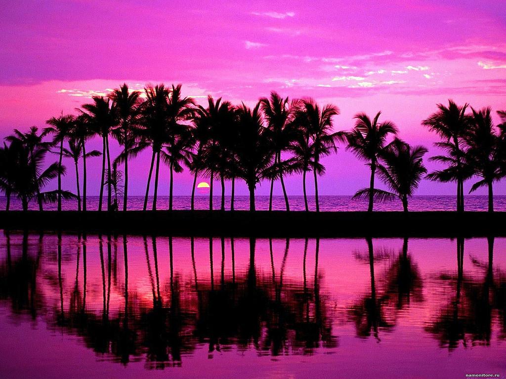 1024x768 Purple Beach Wallpaper, 0.32 Mb