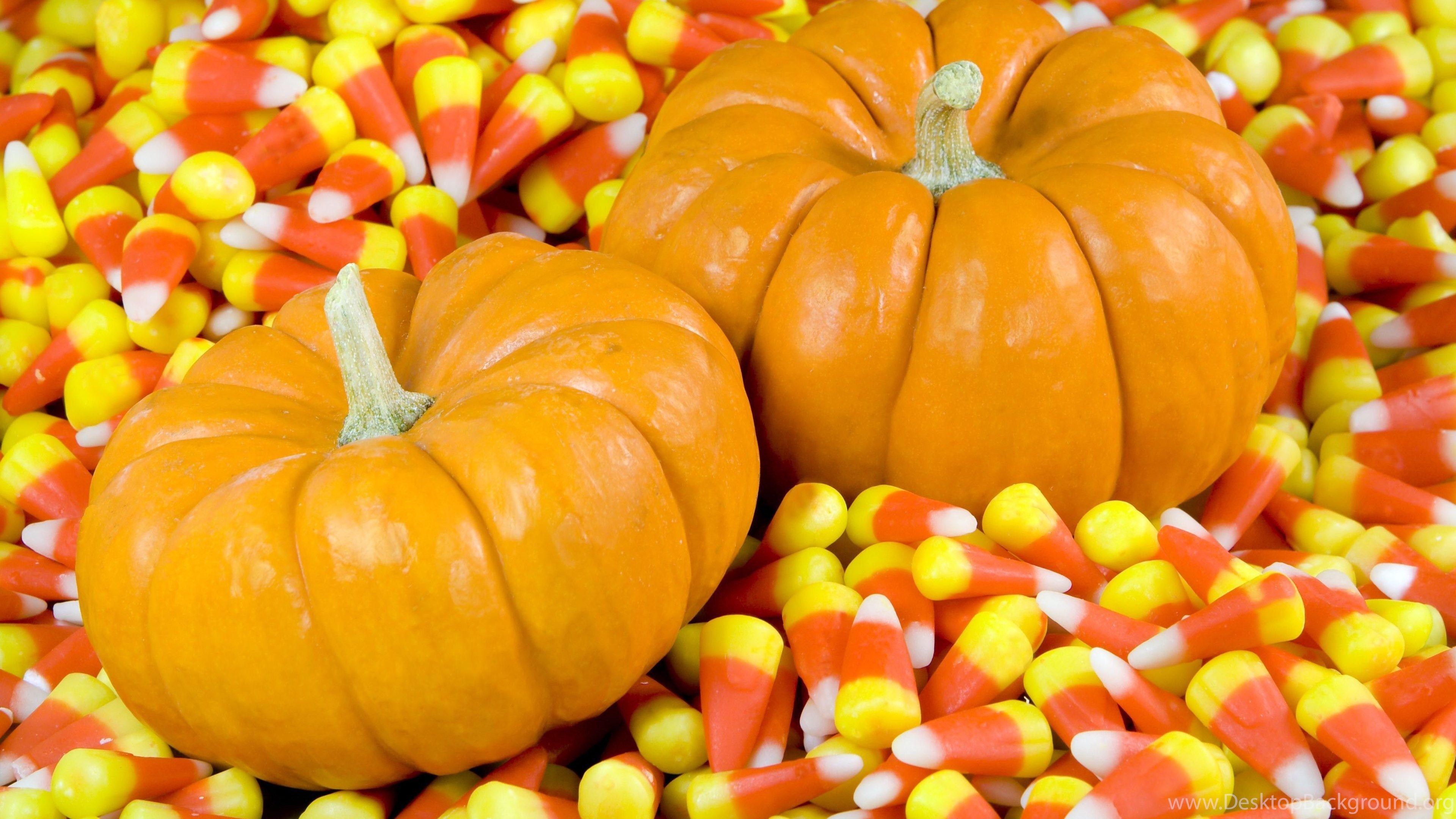 3840x2160 Gallery For Autumn Pumpkin Desktop Wallpaper Desktop Background