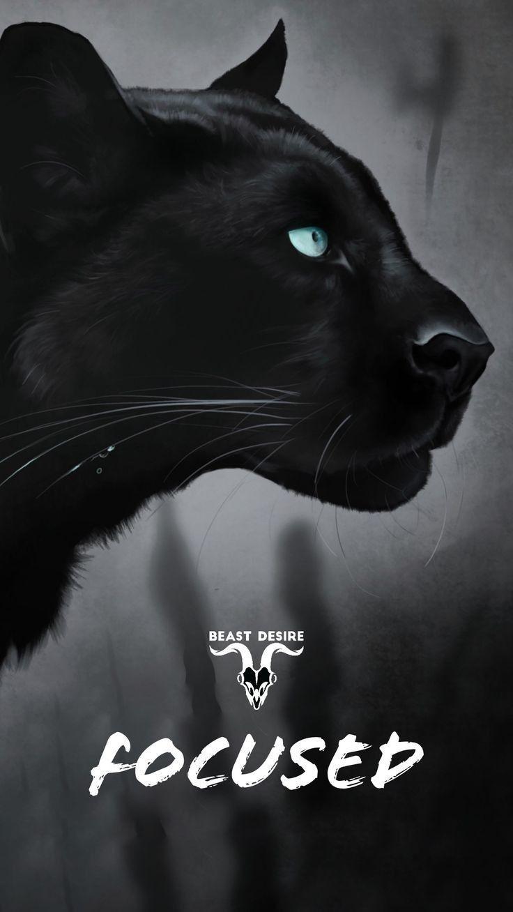 736x1308 focused. Beast mode quotes, Motivational quotes wallpaper, HD wallpaper quotes