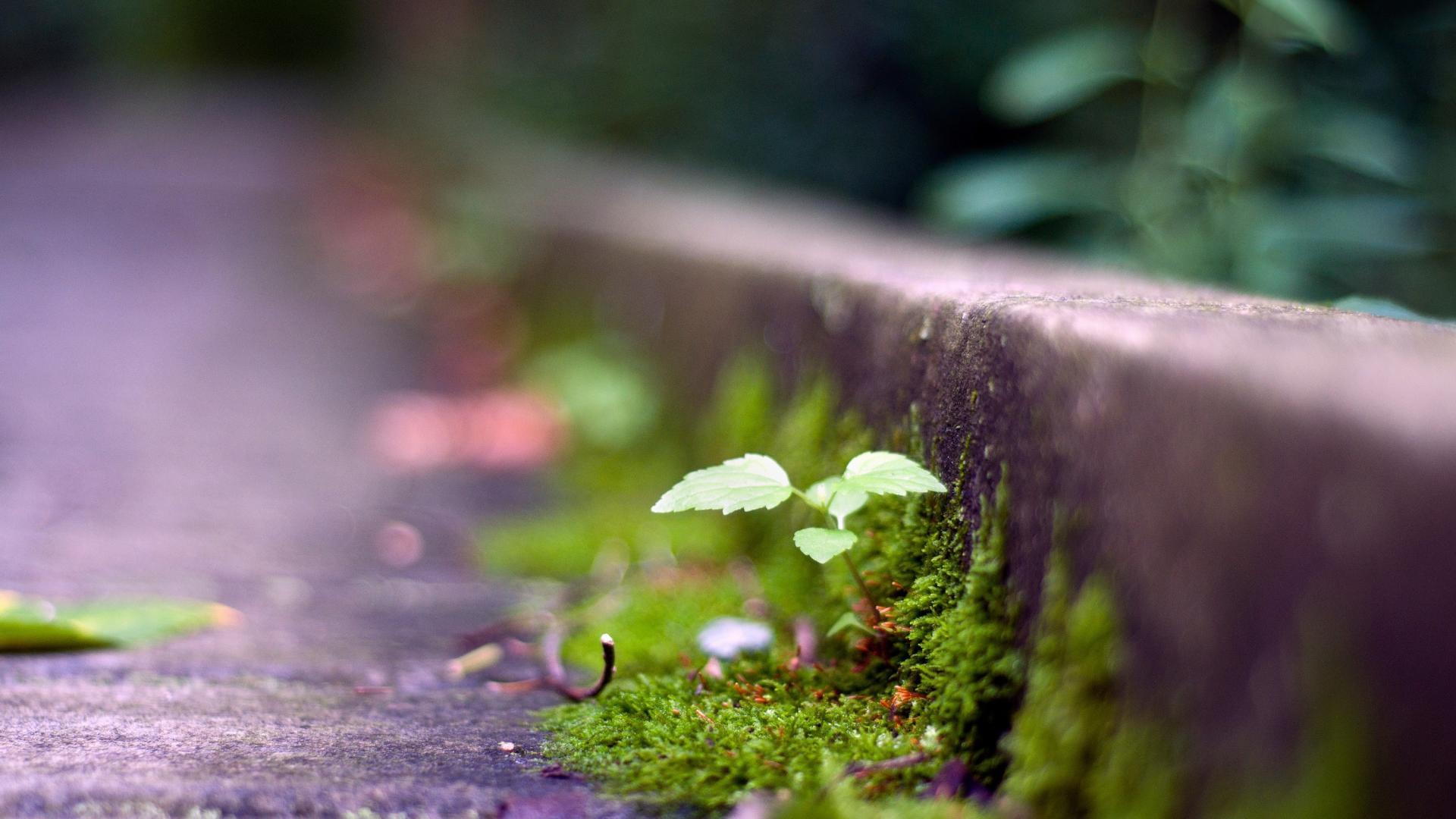 Focused Wallpapers Top Free Focused Backgrounds WallpaperAccess