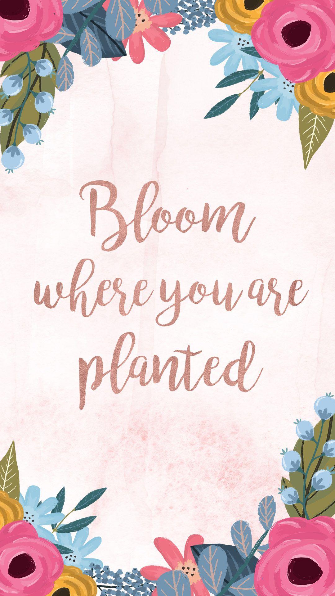 Bloom Where You Are Planted Wallpapers - Top Free Bloom Where You Are ...
