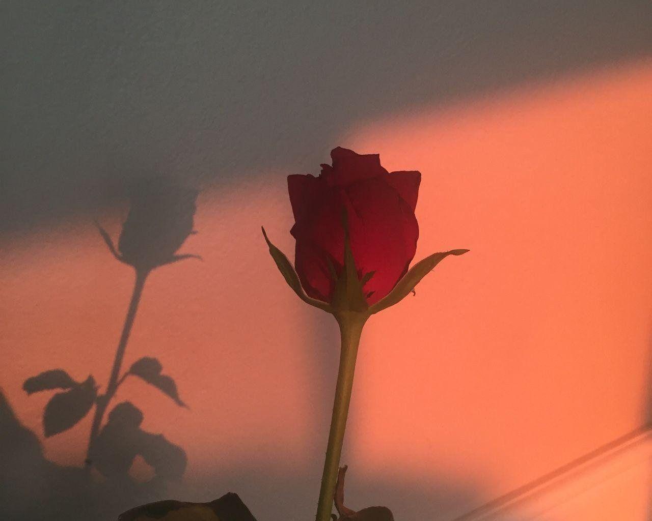 Red Desktop Aesthetic Wallpapers Top Free Red Desktop Aesthetic