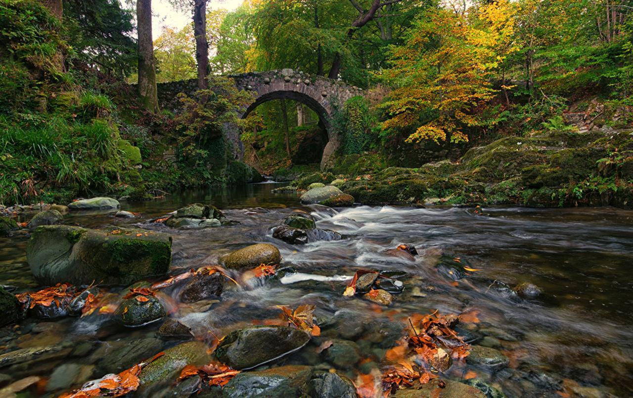 1280x806 Autumn Ireland Wallpaper