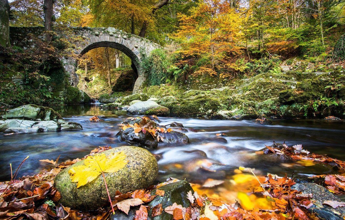 1332x850 Autumn Ireland Wallpaper