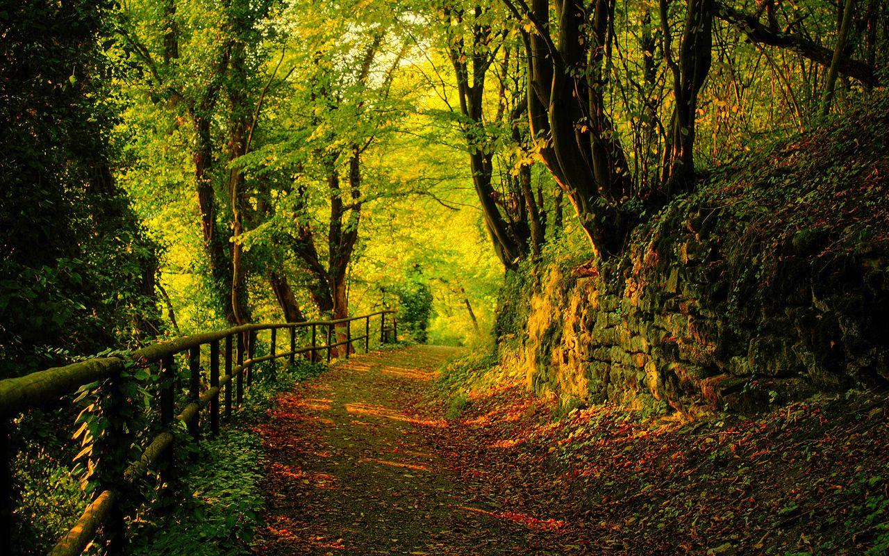 1280x800 Autumn Wallpaper