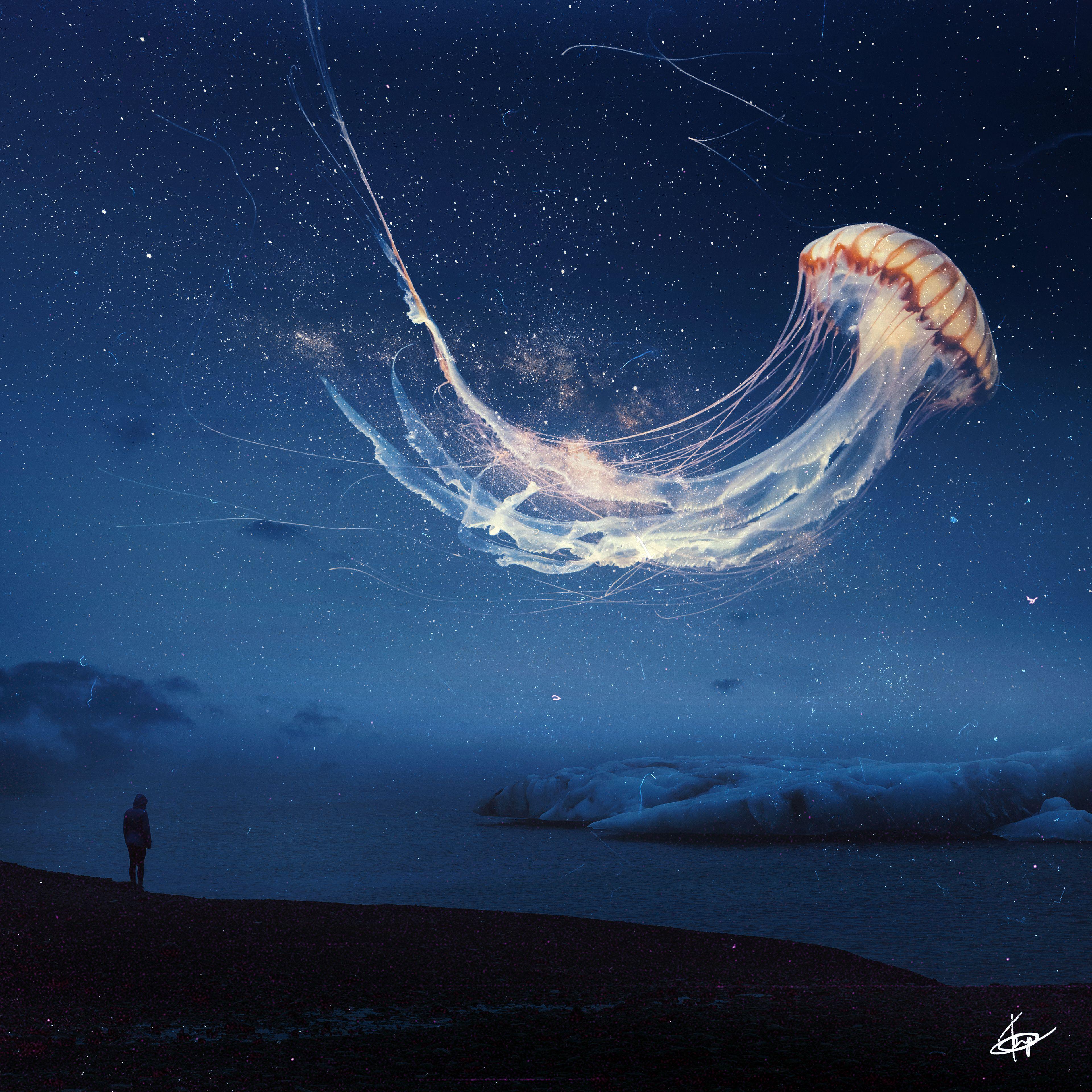 3840x3840 Jellyfish 4K Wallpaper, Dream, Surreal, Night sky, Alone, Fantasy