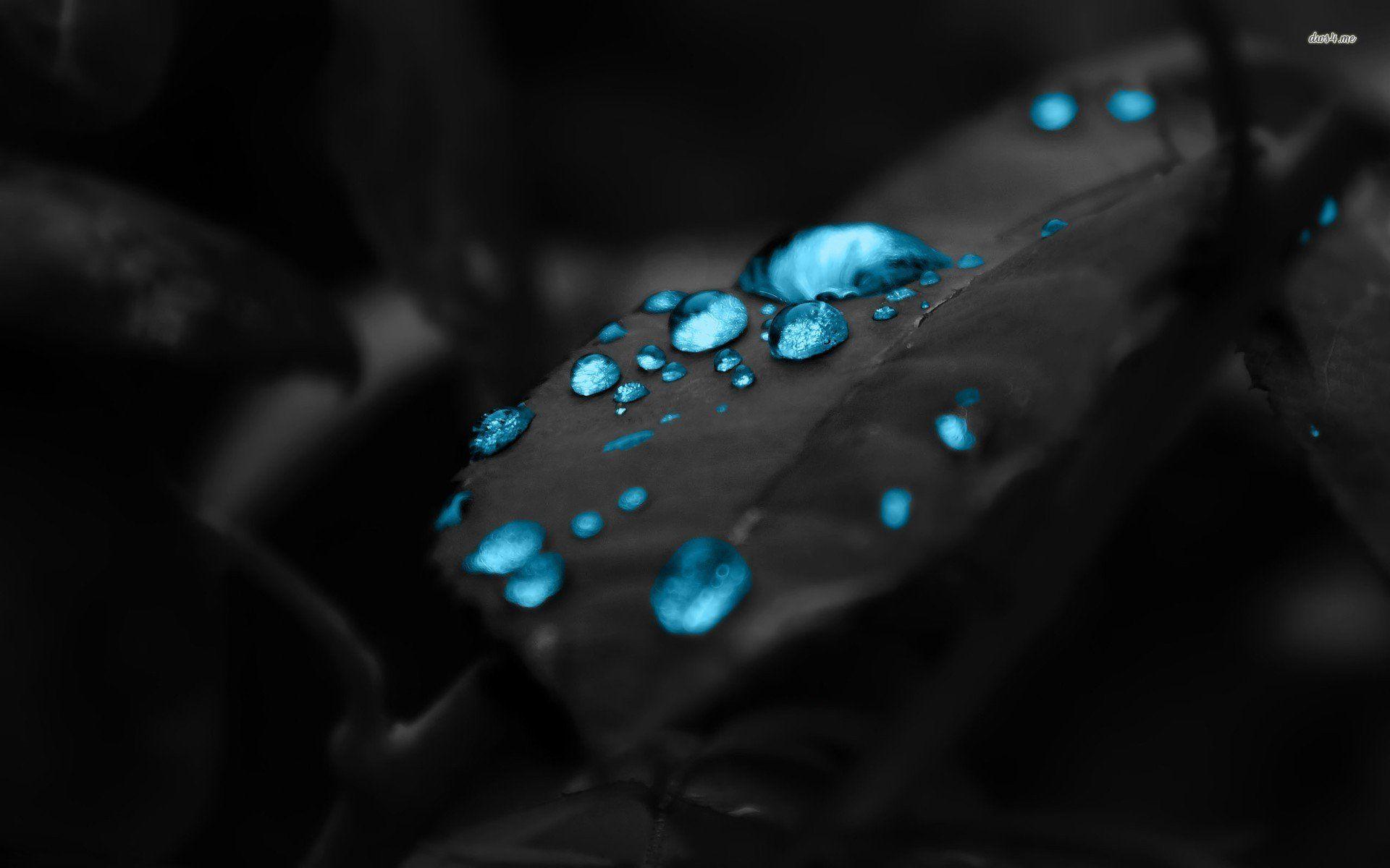 1920x1200 Dark Blue Water Drop On Black Surface Wallpaper