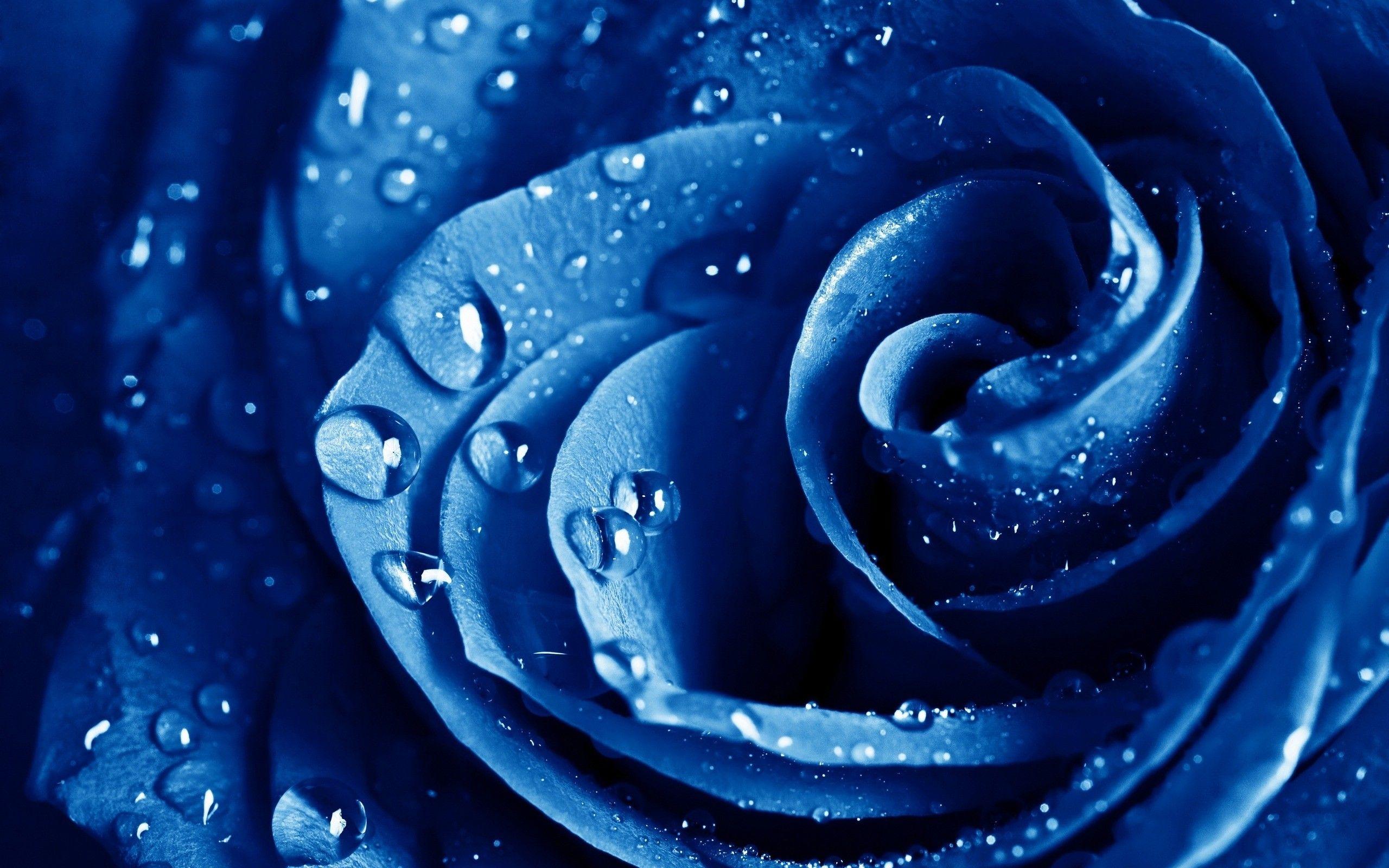 2560x1600 Free download Blue Water Drops Wallpaper [2560x1600] for your Desktop, Mobile & Tablet. Explore Blue Water Wallpaper. Windows Water Wallpaper, Blue Water Wallpaper Image