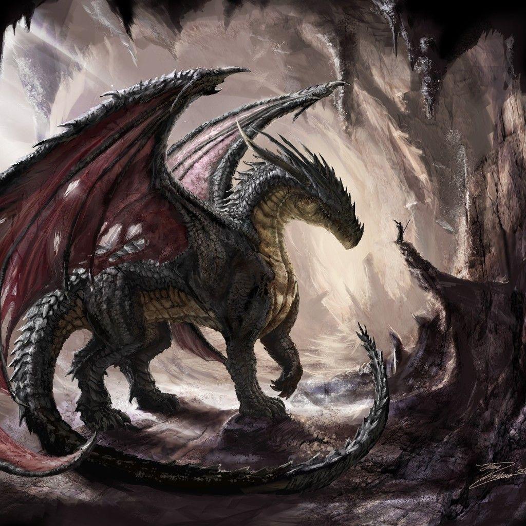 dark and light taming a dragon