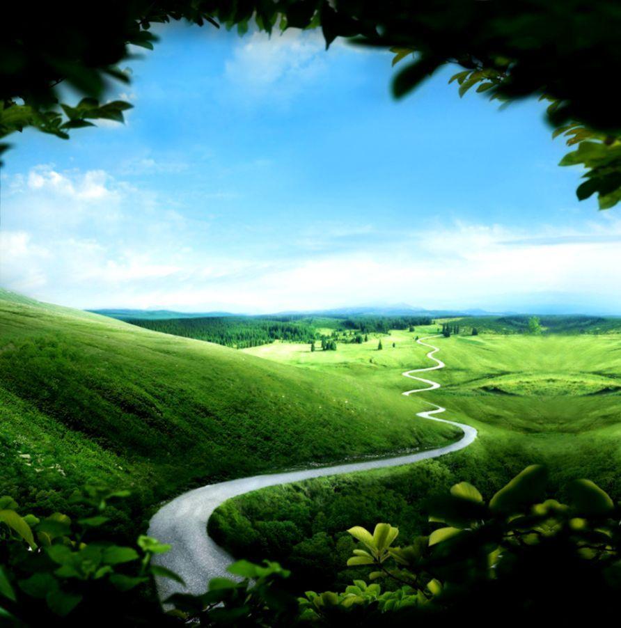 My Image 23
