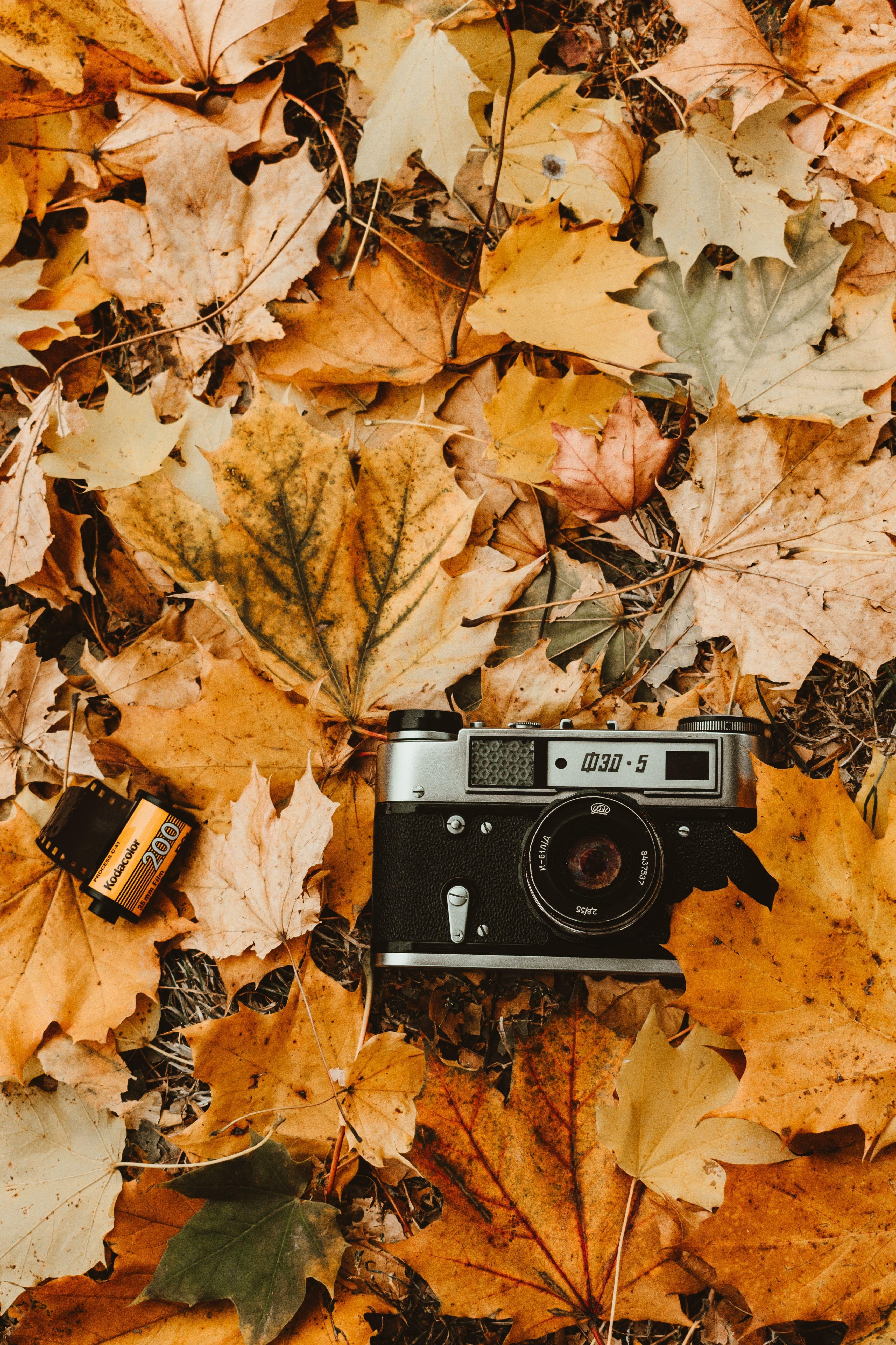 3457x5186 camera #autumn #foliage #retro #vintage photographic film K #wallpaper #hdwallpaper #desktop. HD wallpaper vintage, Camera wallpaper, Wallpaper