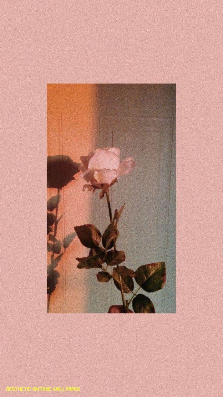 713x1268 Vintage Aesthetic Photo Wallpaper