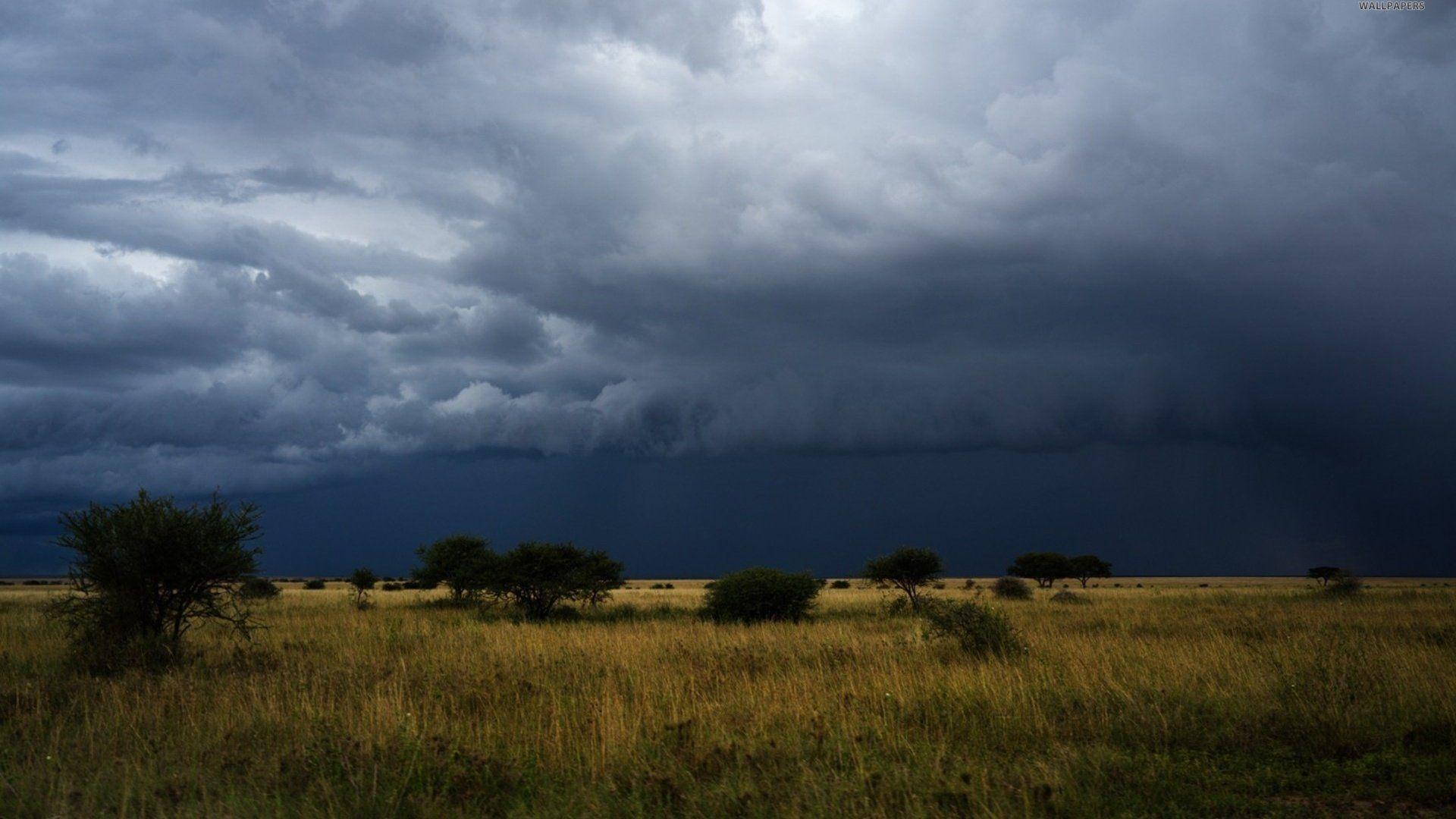 1920x1080 Free download 1920x1080 Dark Storm Clouds Trees Field desktop PC and Mac [1920x1080] for your Desktop, Mobile & Tablet. Explore Storm Cloud Wallpaper. Storm Cloud Wallpaper for Walls, Wallpaper