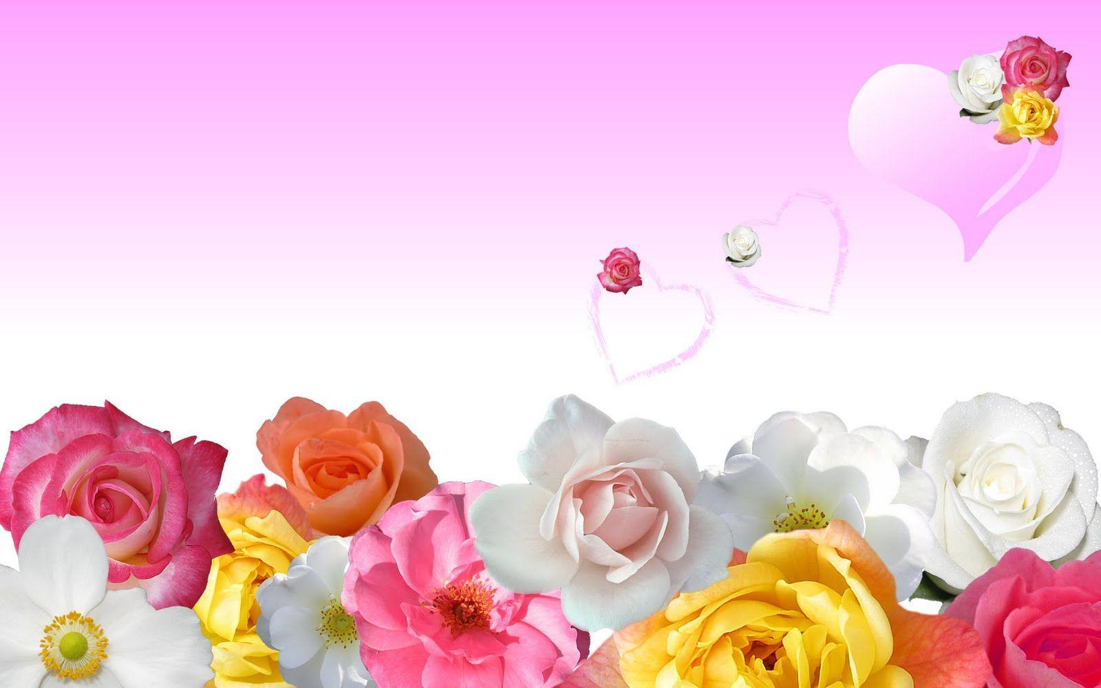 1600x1000 3D Wallpaper: HD Flowers Wallpaper Free Download