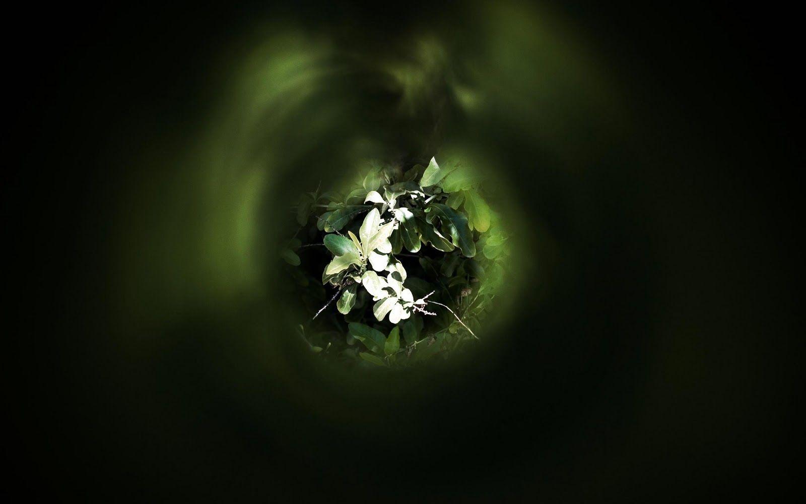 1600x1000 Top Wallpaper: 3D Widescreen Wallpaper Free Download