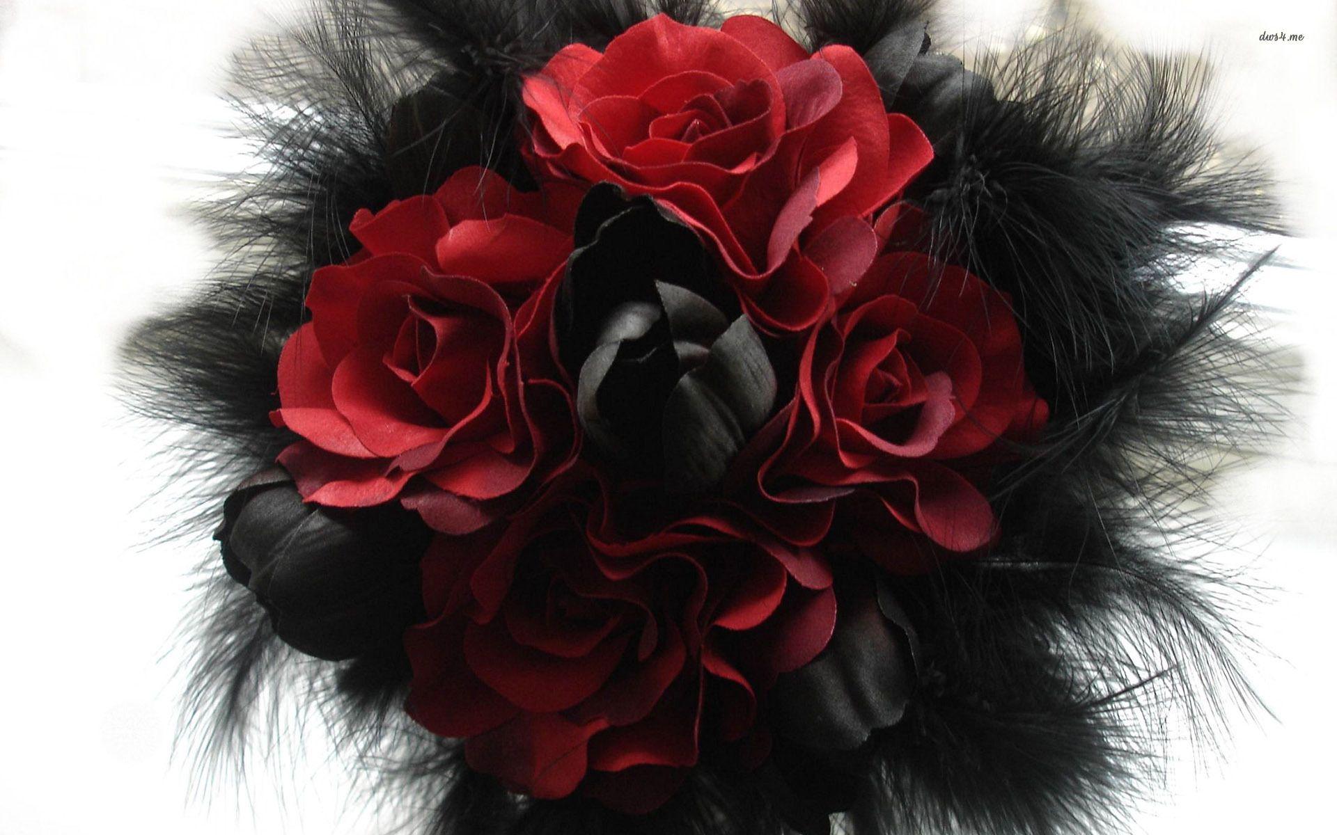 1920x1200 Black And Red Rose Wallpaper