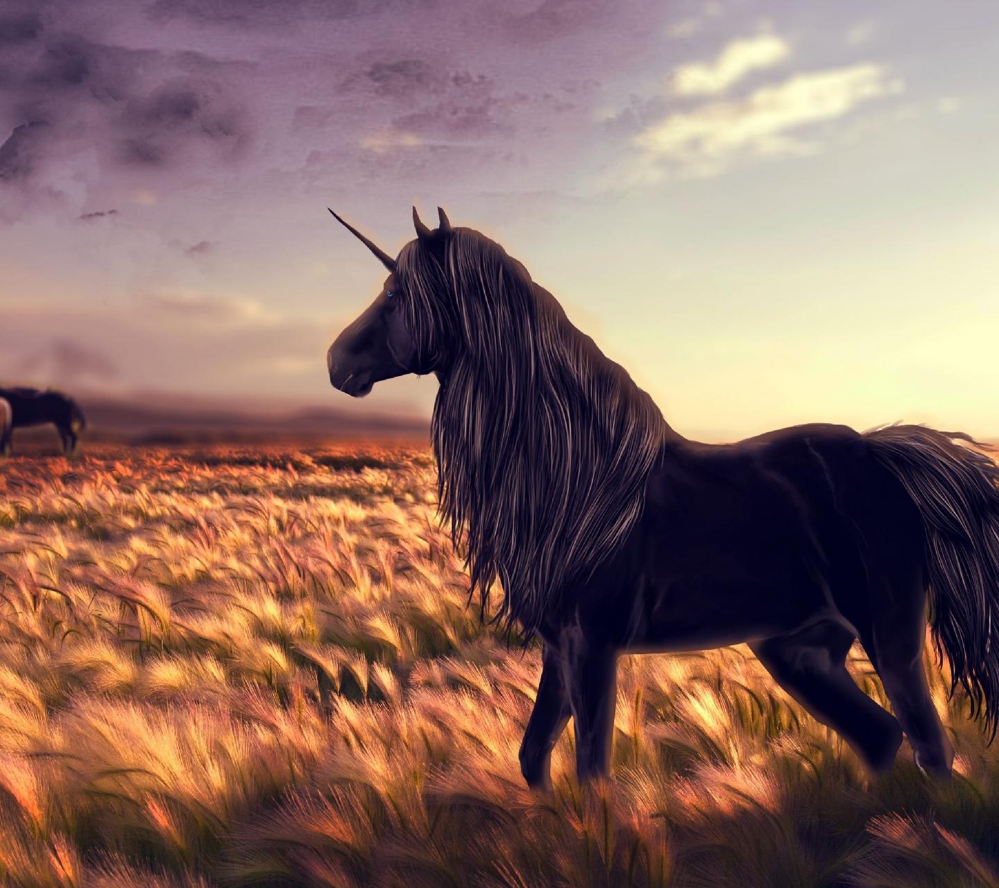 1440x1280 Black Unicorns with Wings Wallpaper
