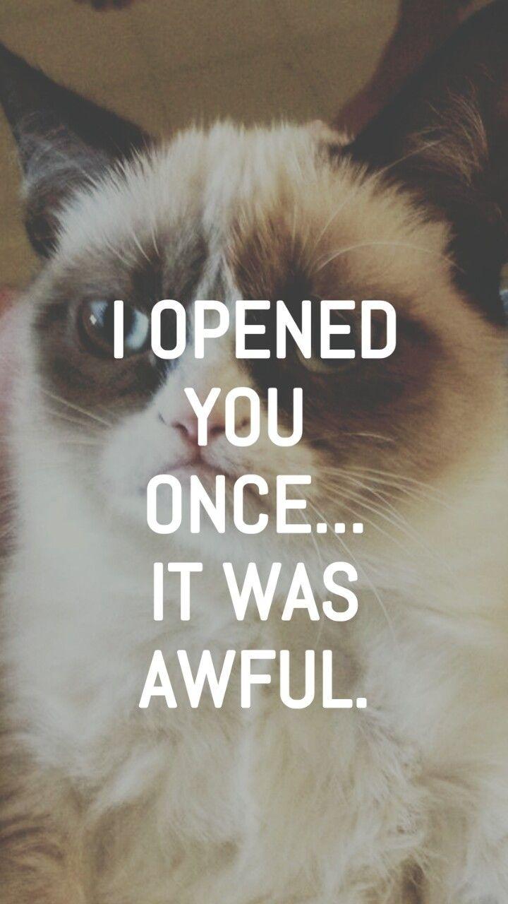 720x1280 Grumpy Cat Background iPhone