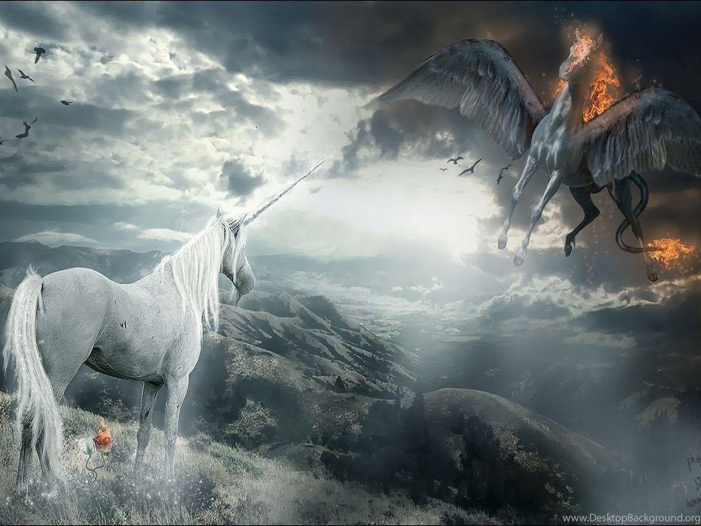 1024x768 Wallpaper Light And Dark Vs Edhgg .4 1024x768 Desktop Background