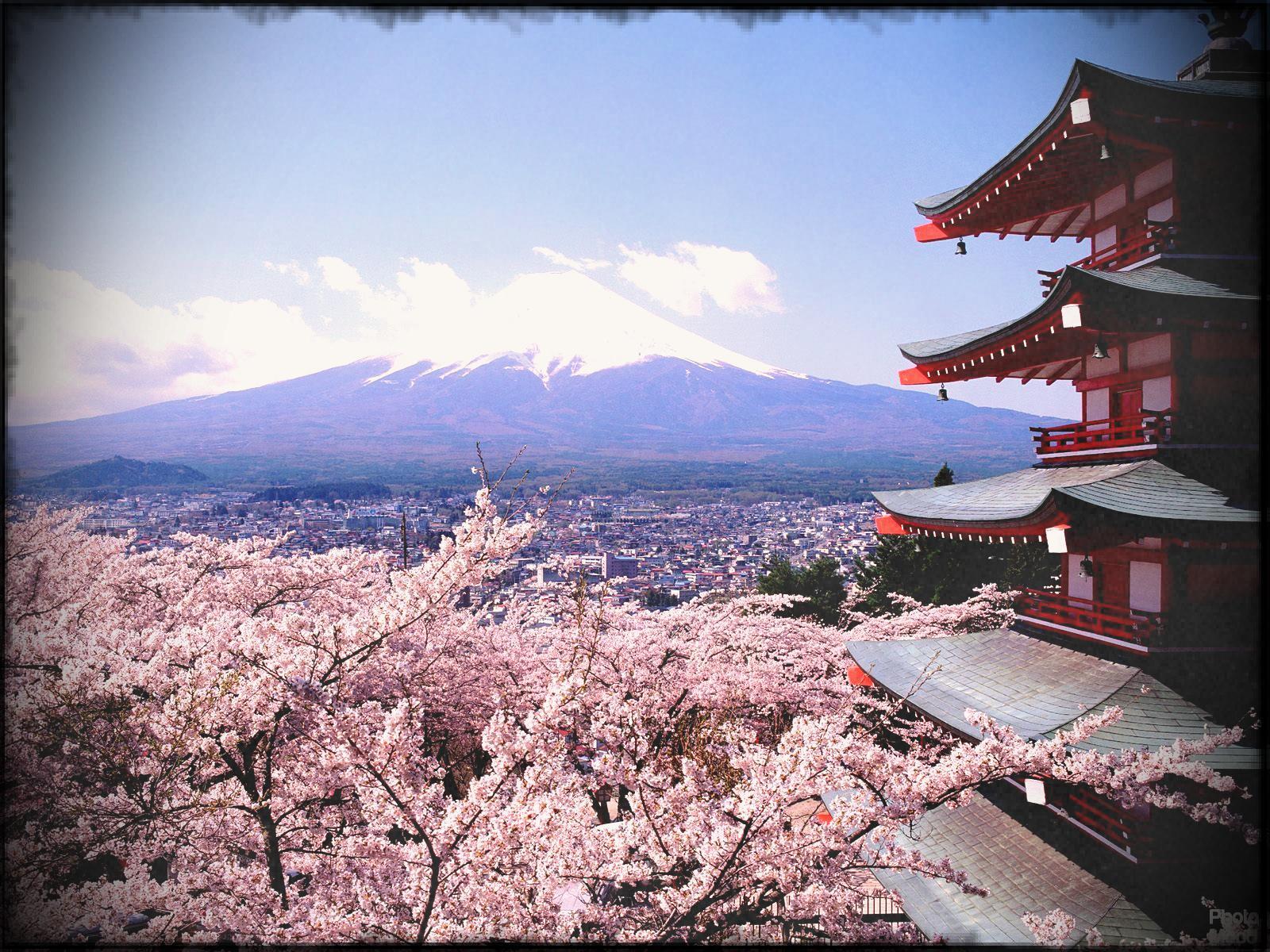 1600x1200 Sakura Season Guide To Japan S Cherry Blossoms Cnn Travel Home Gardens