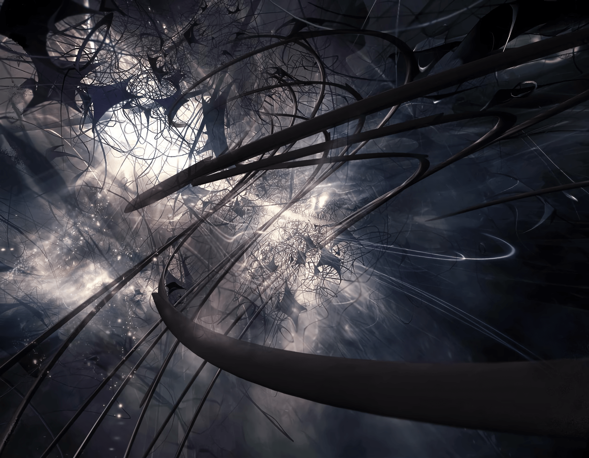 1920x1492 dark wallpaper hd, sky, light, tree, darkness, water