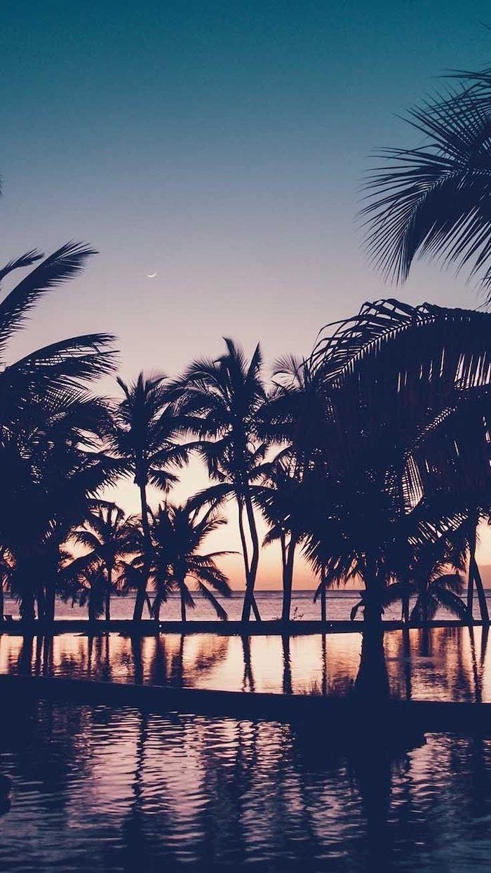 700x1244 + ideas for cute wallpaper that bring the summer vibe