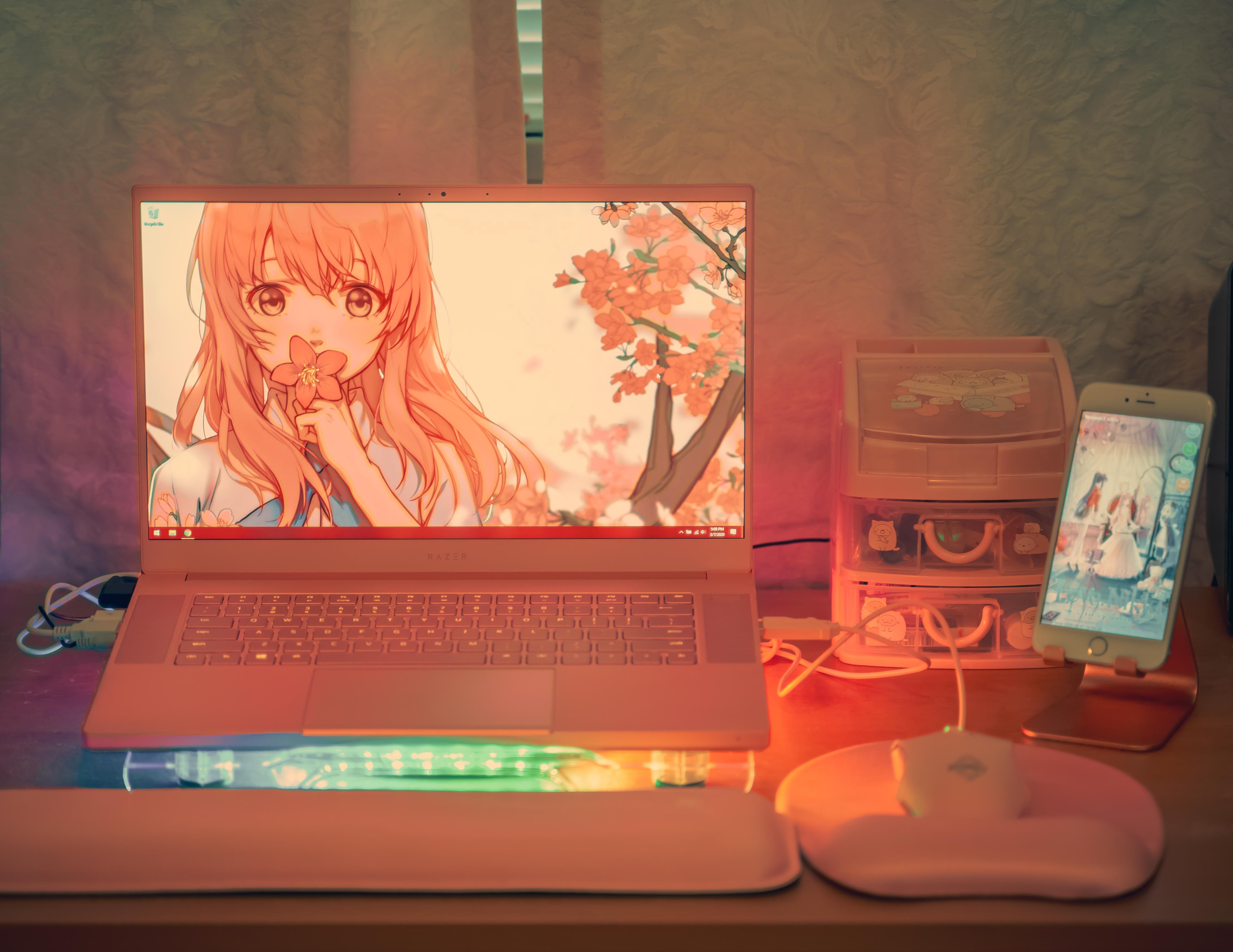 4537x3506 After years of saving, here's my very pink dream portable battlestation!! ft. Shouko Nishimiya wallpaper by 万恶の老三