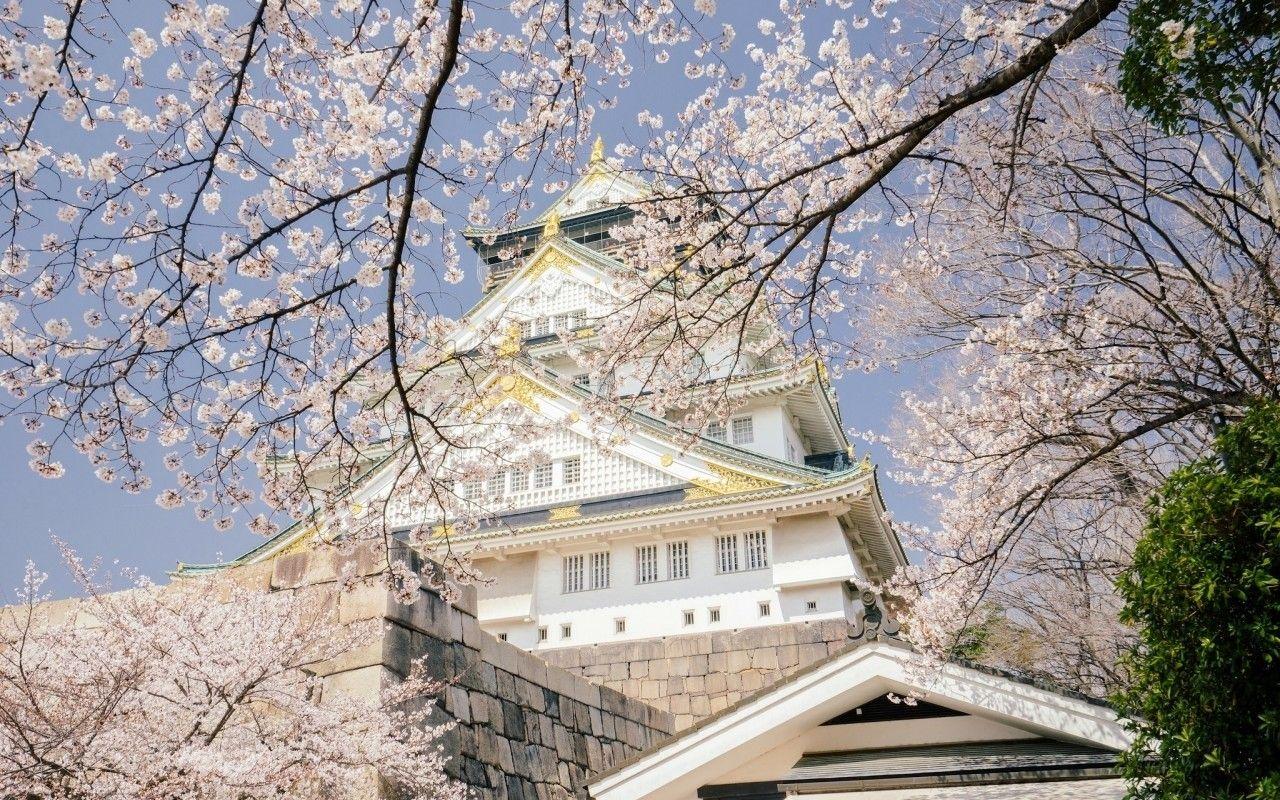 1280x800 Sakura Tag wallpaper: Sakura House Japanese Temple Japan Shrine