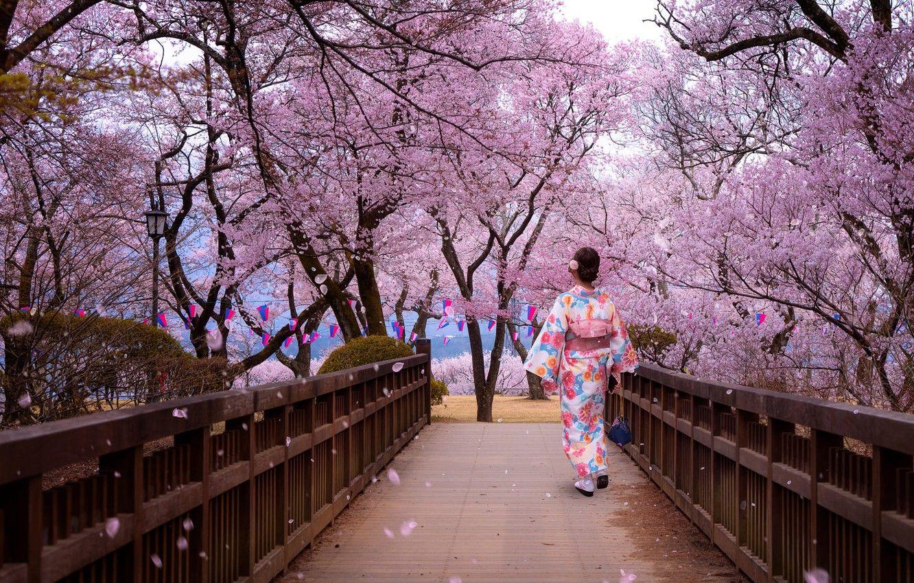 1332x850 Photo Wallpaper Trees, Park, Woman, Japanese, Spring, Japan Flower Garden