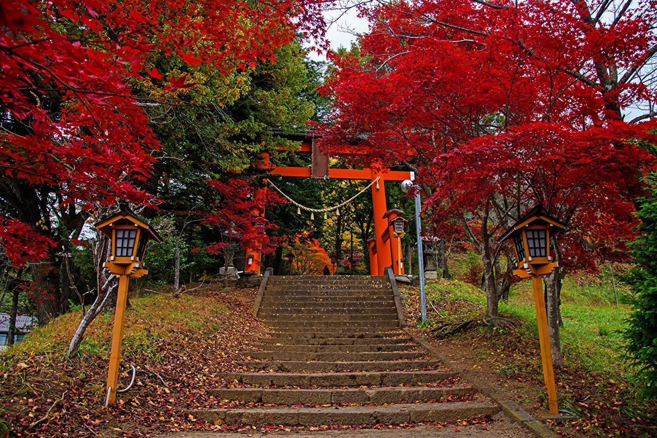 1280x853 Wallpaper Japan Fujiyoshida Nature staircase Street lights Trees