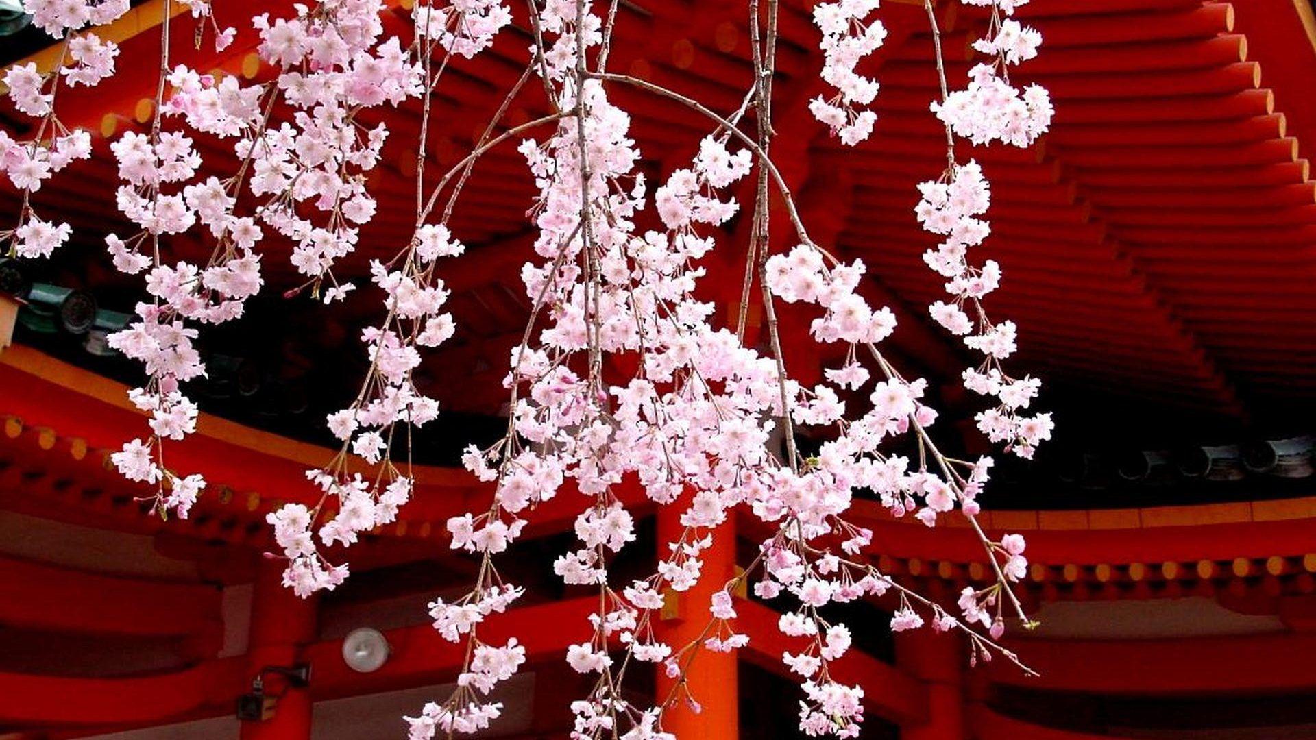 1920x1080 Japan Tag wallpaper: Sendai Japan Tsunami Fire Human Pray Nature