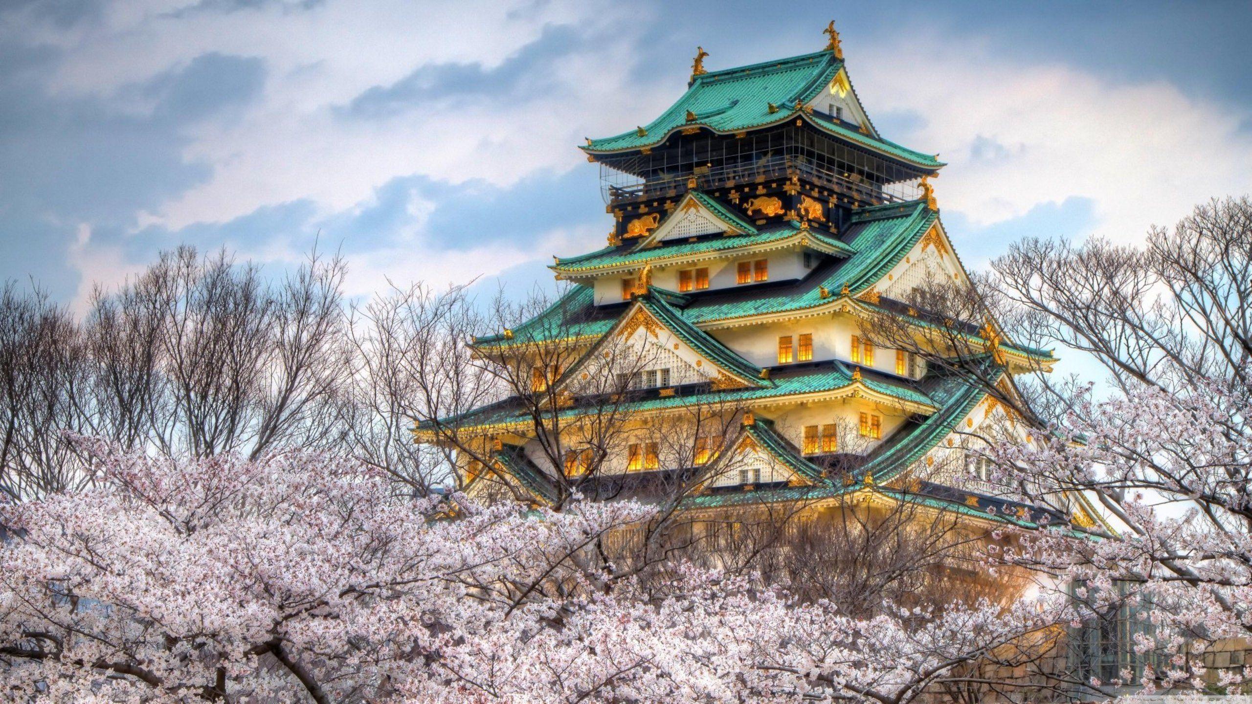 2560x1440 Japanese Castle Wallpaper