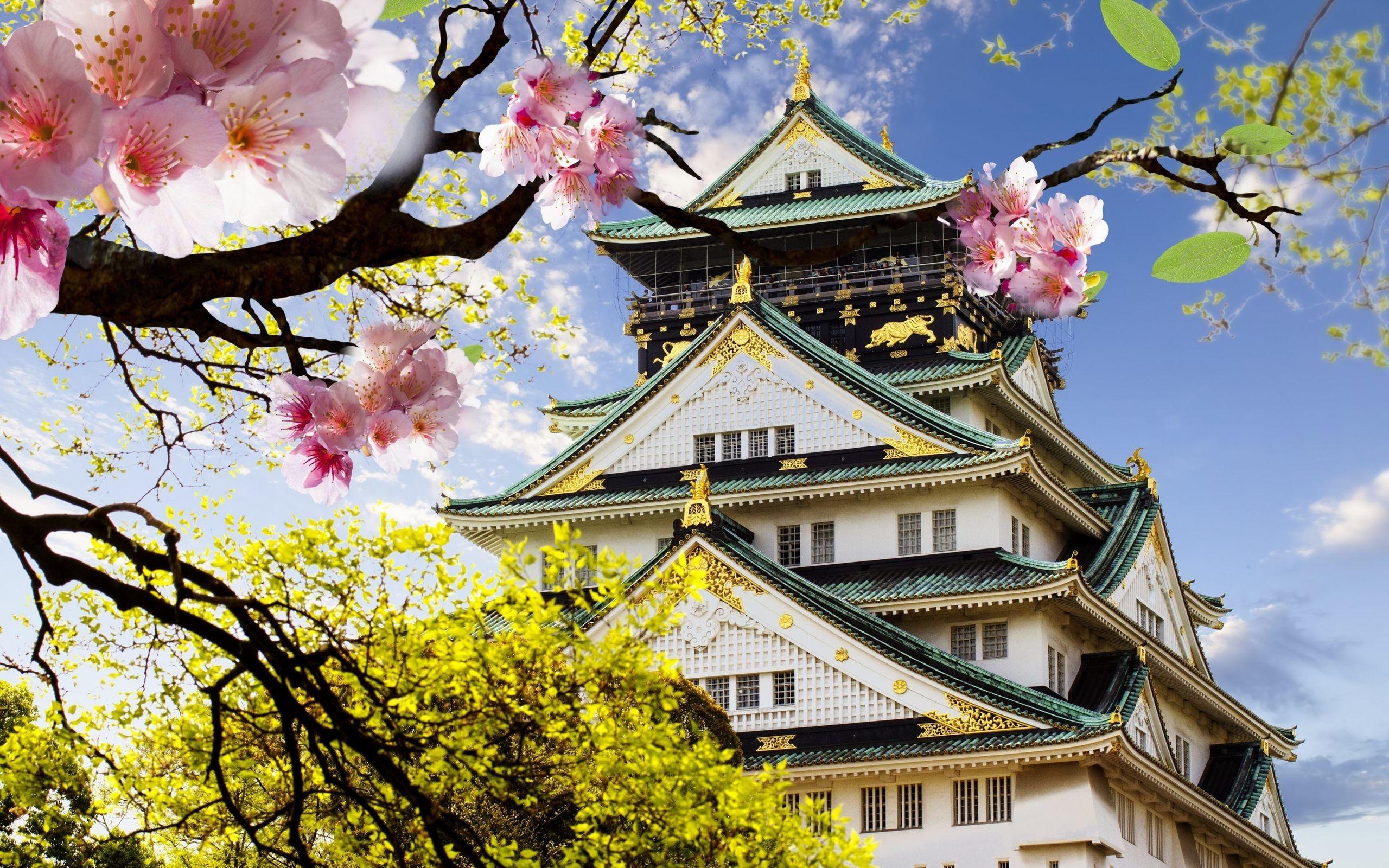 2560x1600 Scenic Background Japan .