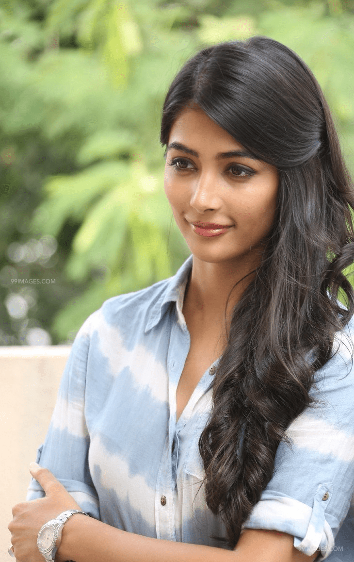730x1158 Beautiful Pooja Hegde HD HD Wallpaper