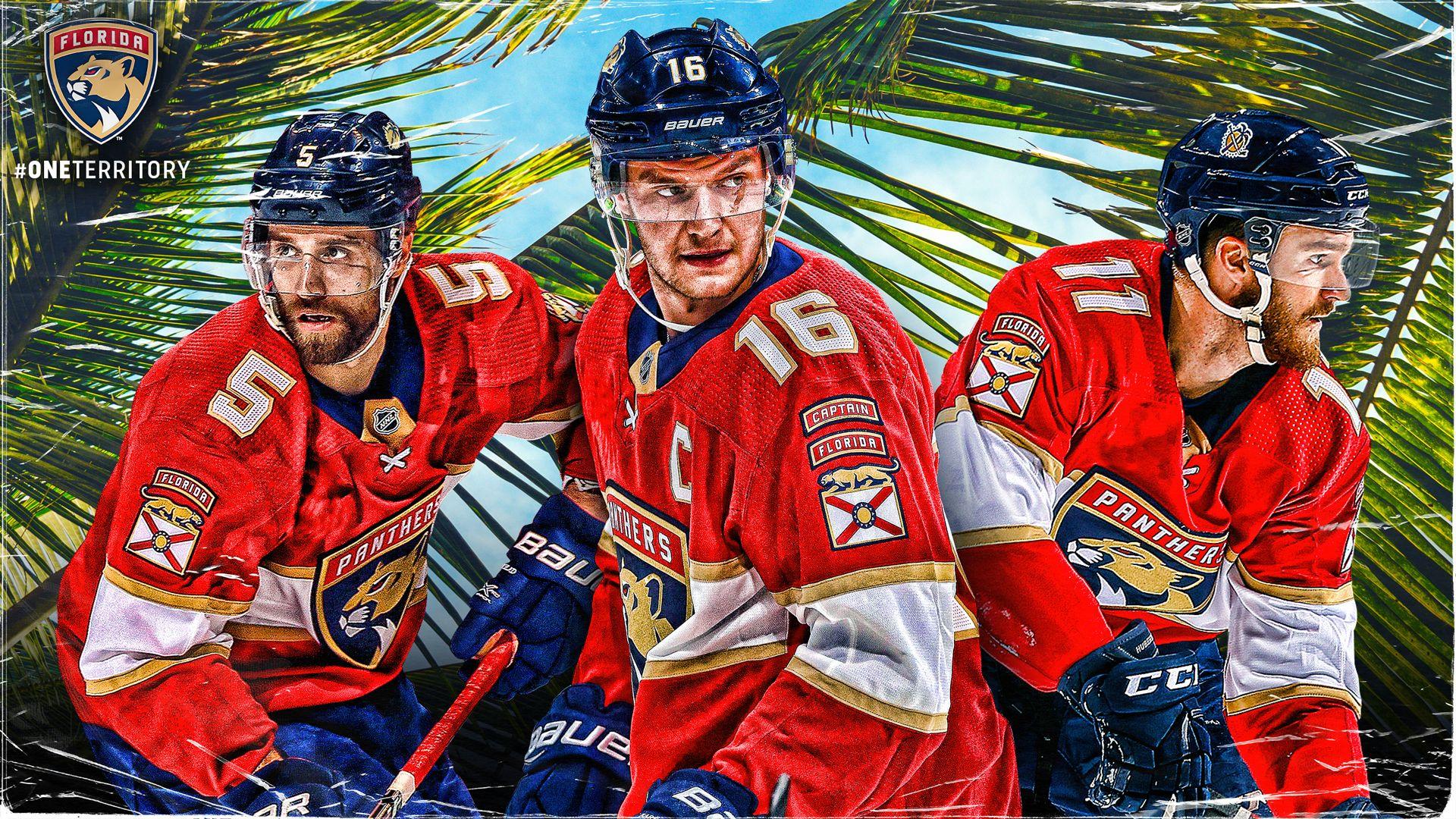1920x1080 Florida Panthers Desktop and Mobile Wallpaper