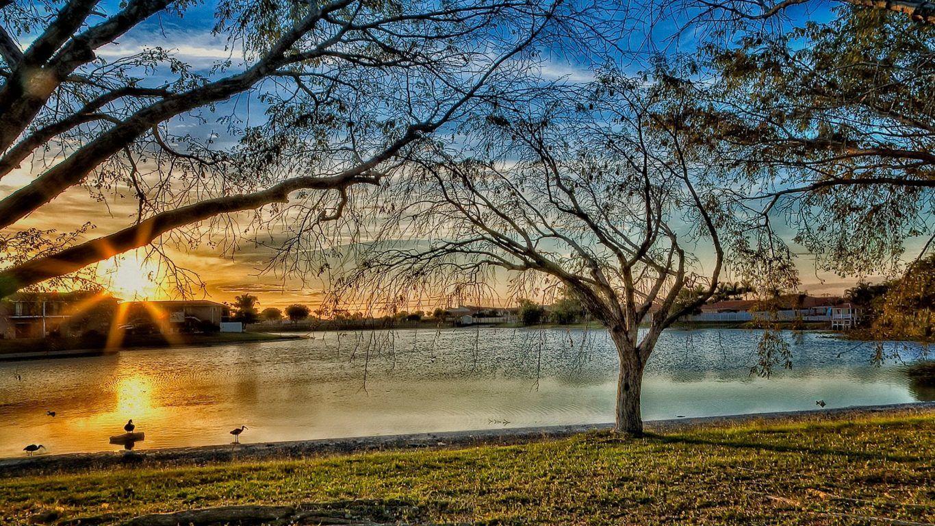 1366x768 Lakes: Superb Memory Spring Sunrise Lake Blue Light Yello Pink