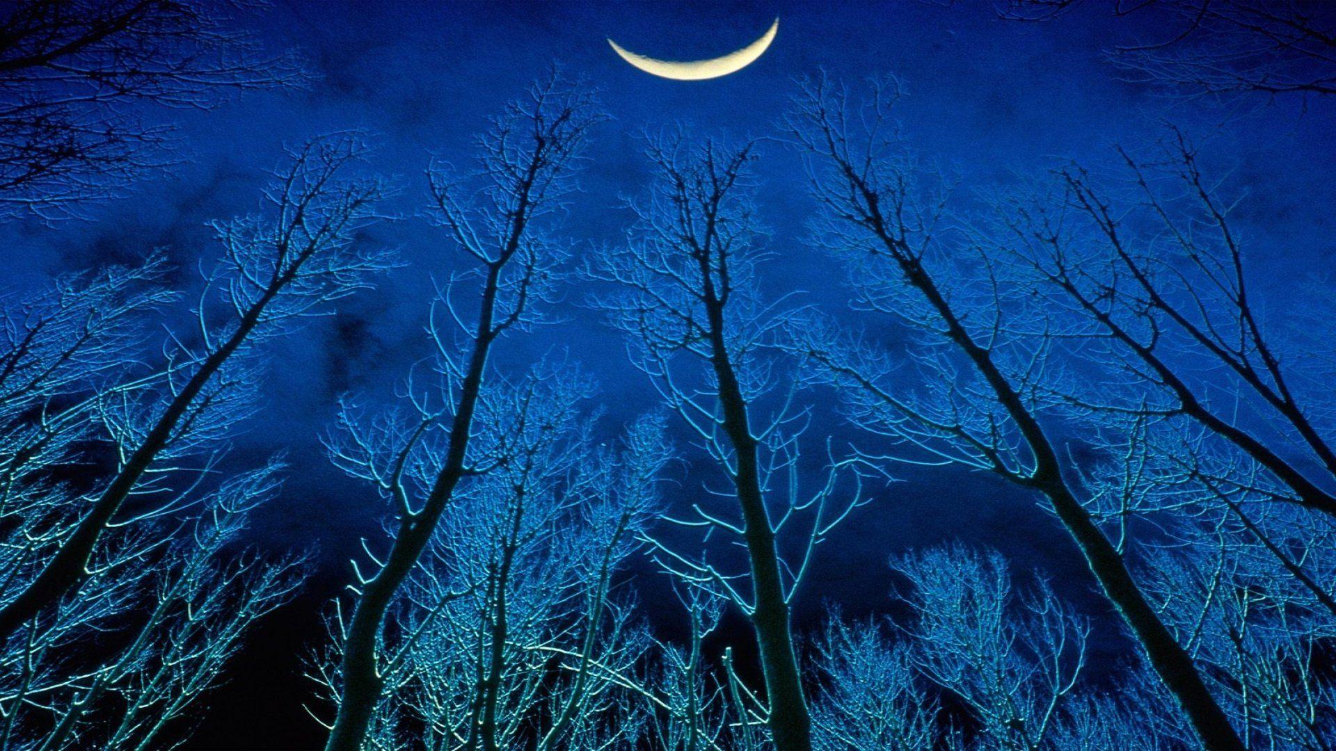 Moon Crescent Wallpapers - Top Free Moon Crescent Backgrounds ...