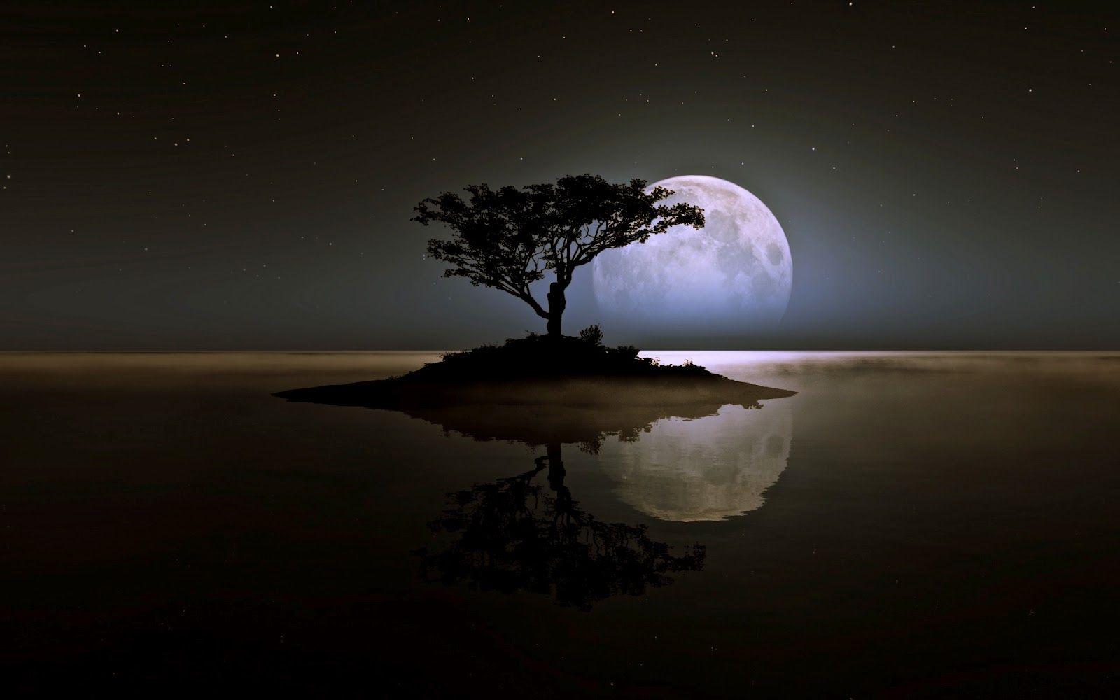 1600x1000 Free download Alone But Happy Wallpaper 240x320 Alone Alone But Happy I Am Auto [1600x1000] for your Desktop, Mobile & Tablet. Explore I Am Alone Wallpaper. I am Second