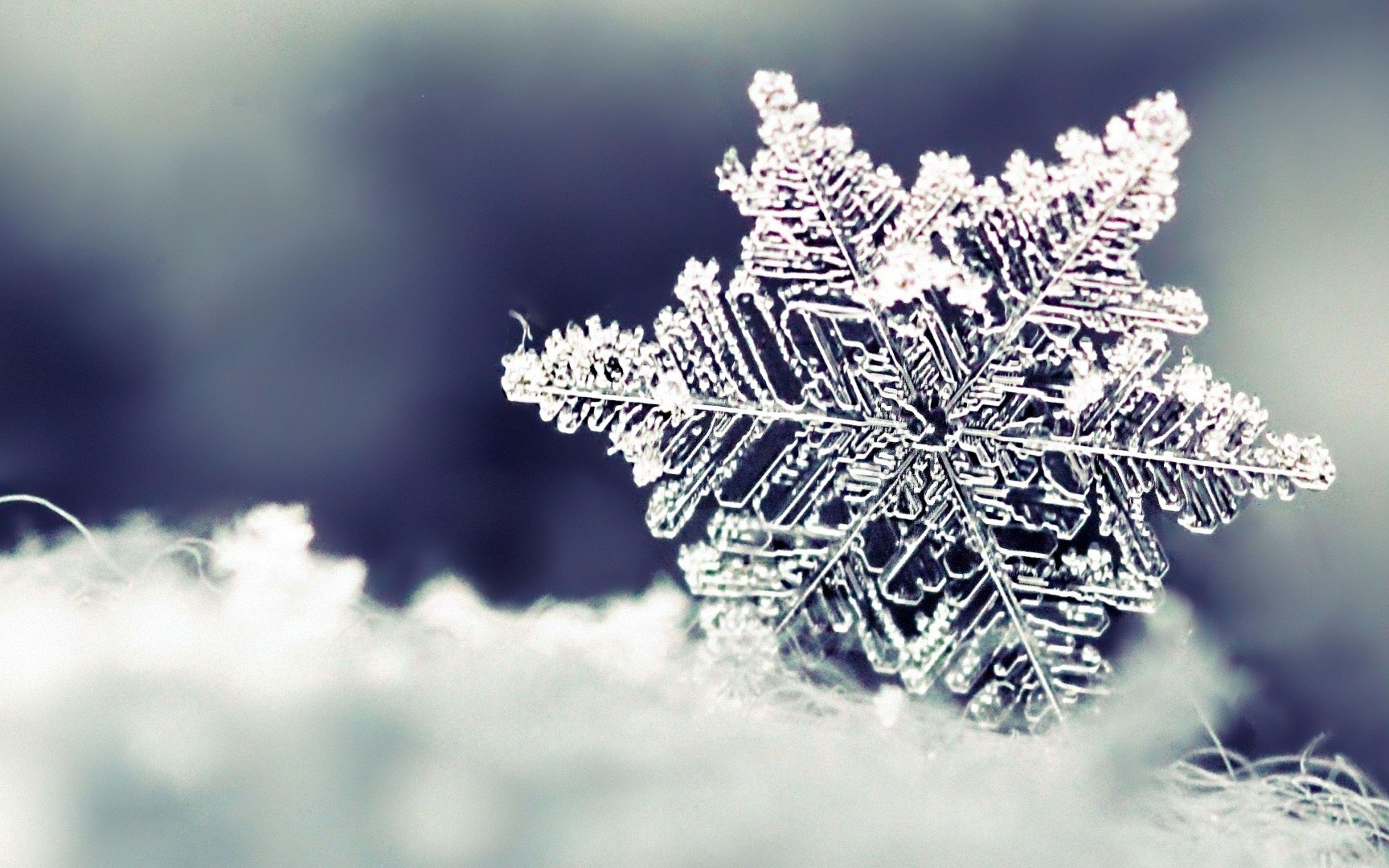 5120x3200 Wallpaper Download 5120x3200 Frozen snowflake winter season. Beautiful Macro Wallpaper. HD Wa. Snowflake wallpaper, Winter photography, Winter photo