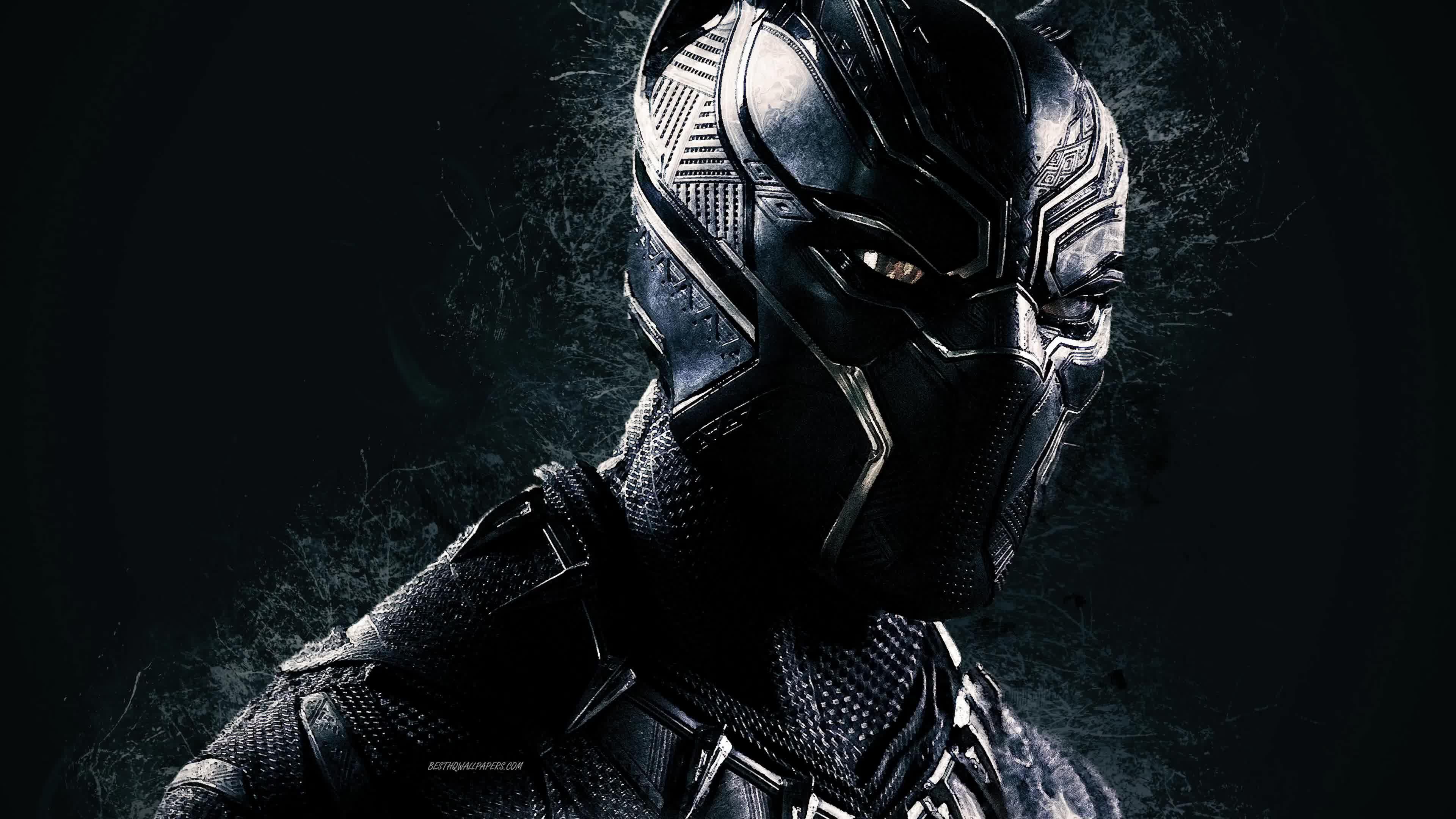 3840x2160 Marvel Black Panther 4K Live Wallpaperk wallpaper for pc, Black panther marvel, Wallpaper pc