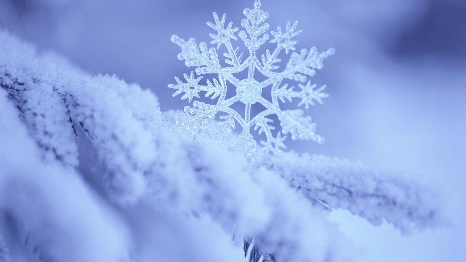 Cute Snowflake Desktop Wallpapers - Top Free Cute Snowflake Desktop ...