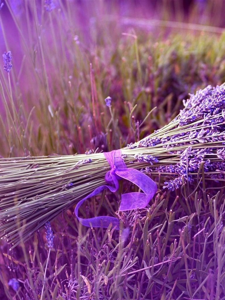 768x1024 Lavender Wallpaper
