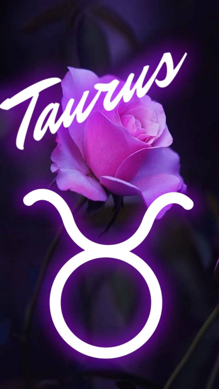 Discover your zodiac sign with taurus cute wallpaper