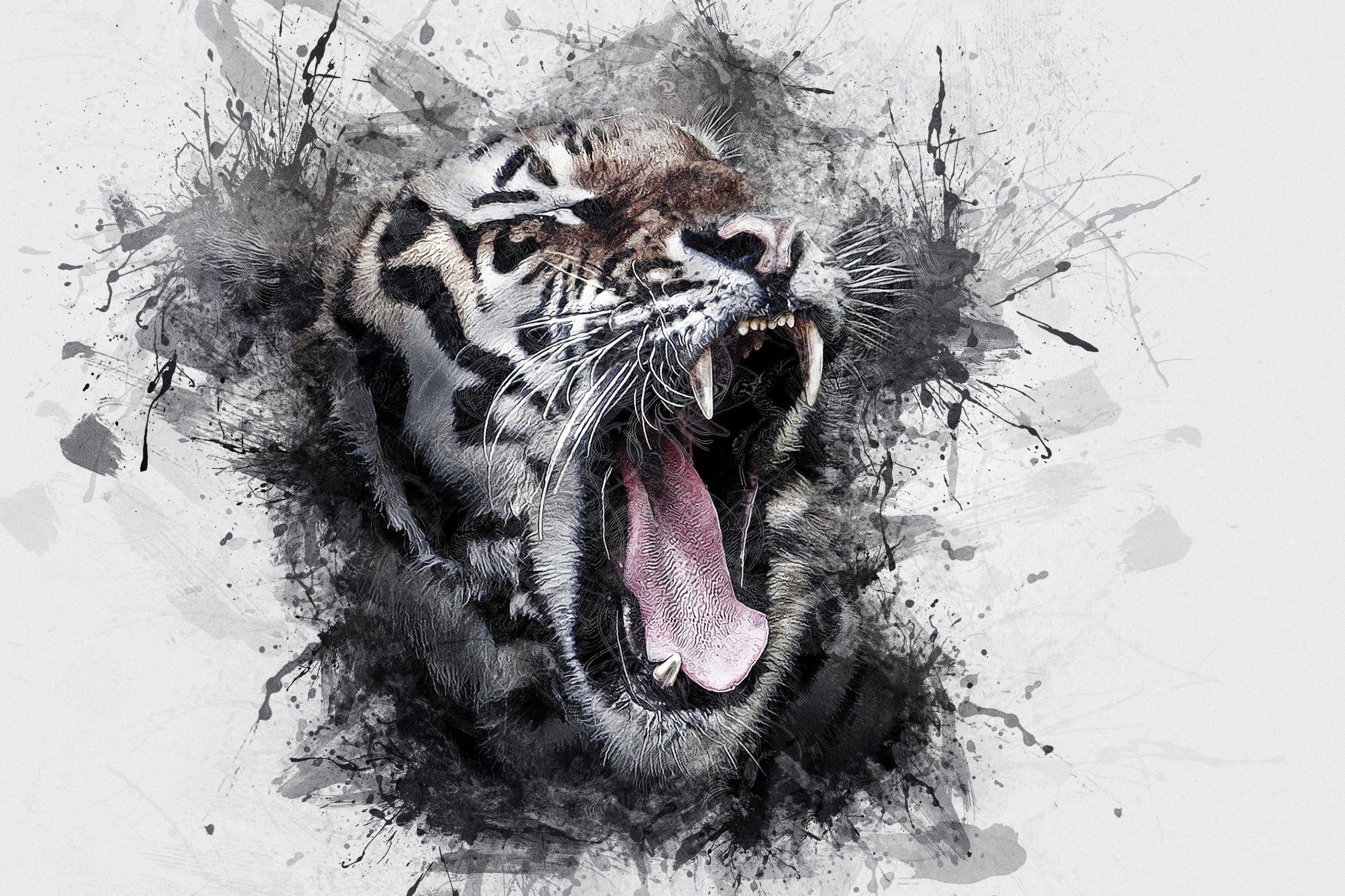 3034x2021 Tiger Roaring Wallpaper