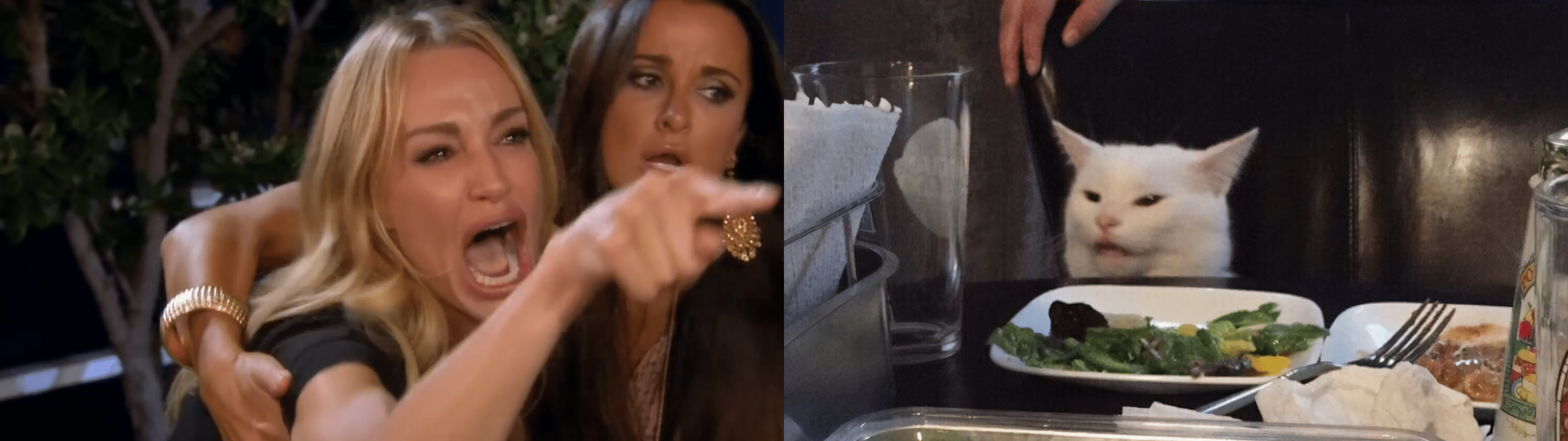 5120x1440 Woman Yelling at a Cat (meme)