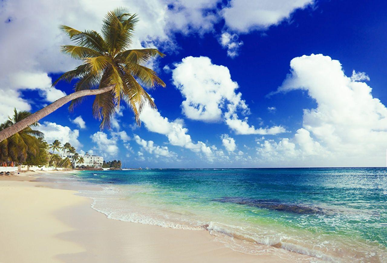 1280x871 Desktop Wallpaper beaches Sea Nature Sky palm trees Coast Clouds