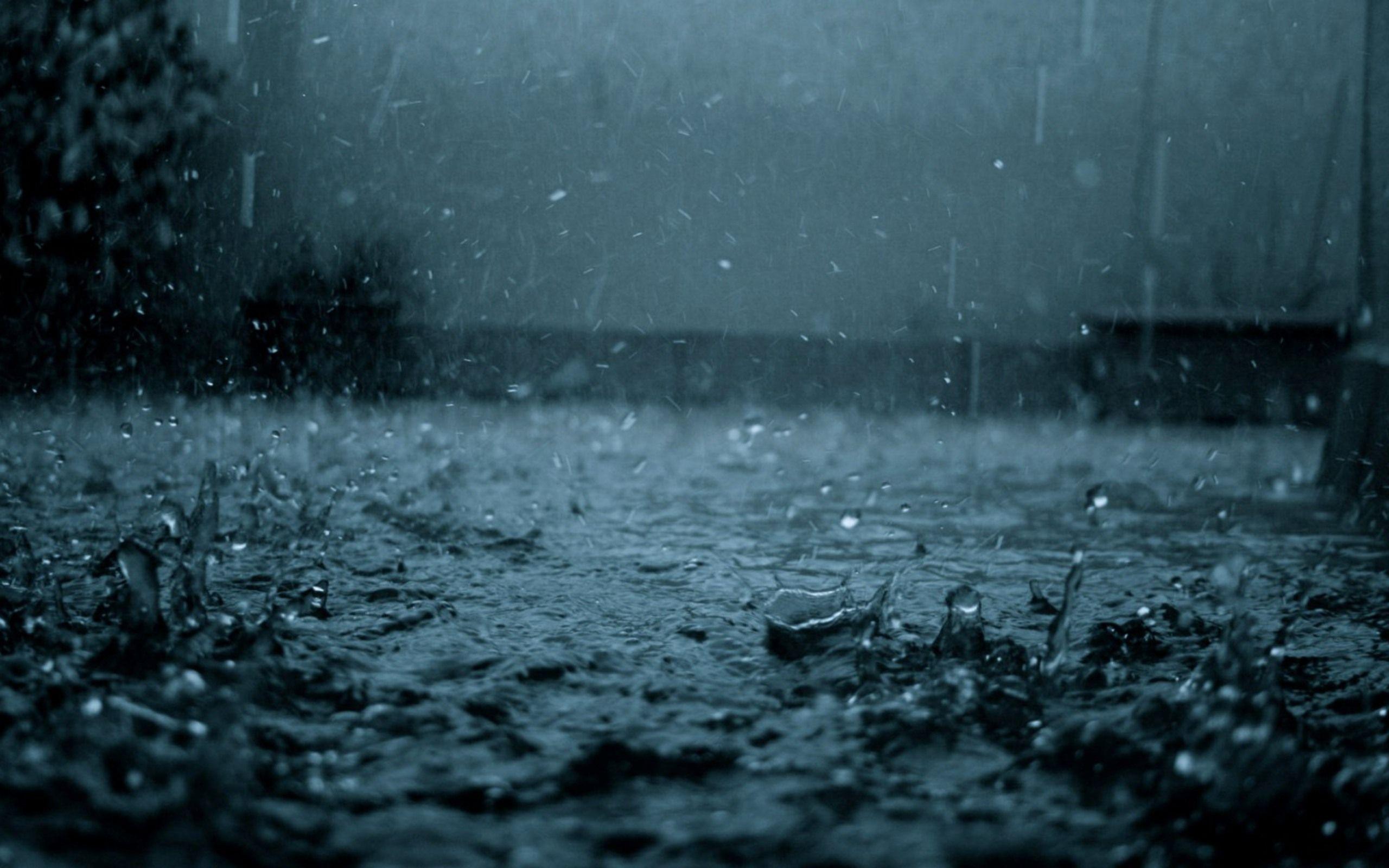 2560x1600 Japan Digital Rain Fall