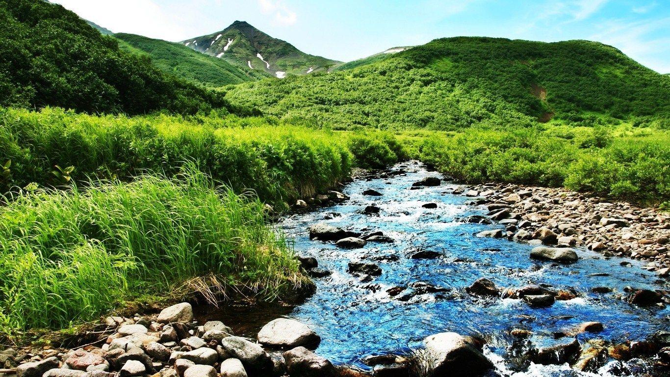1366x768 Download desktop wallpaper Summer mountain grass creek stones