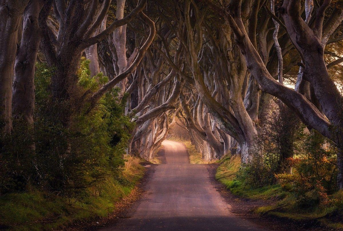 1200x807 photography, Nature, Ireland Wallpaper HD / Desktop and Mobile Background